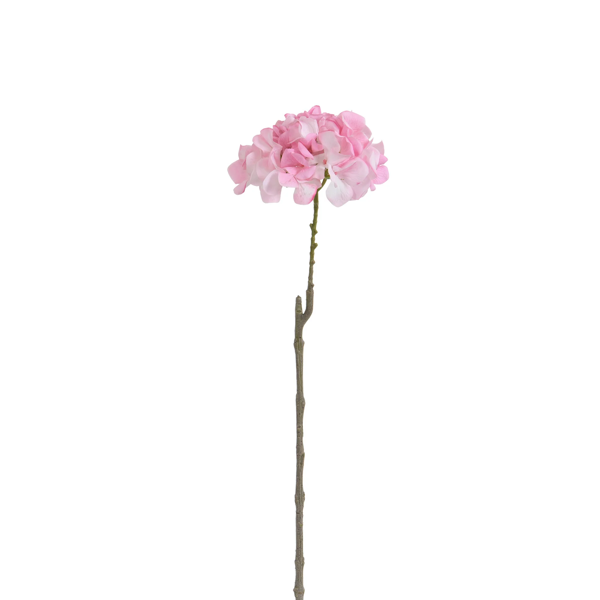 Tige d’Hortensia 63 cm - Image 13