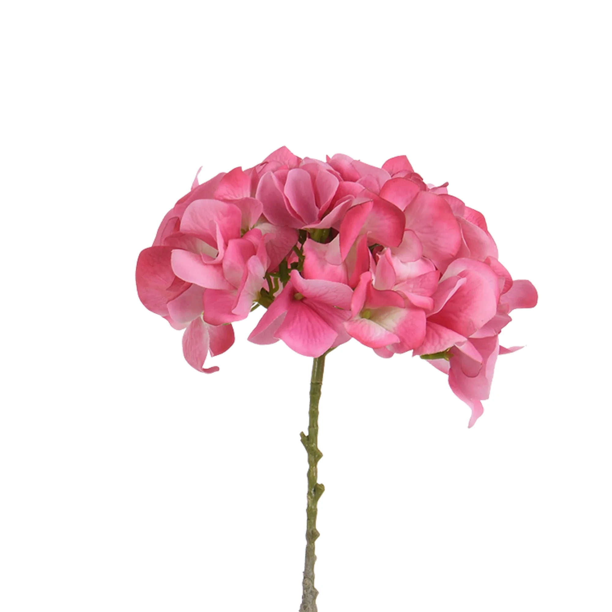 Tige d’Hortensia 63 cm - Image 14