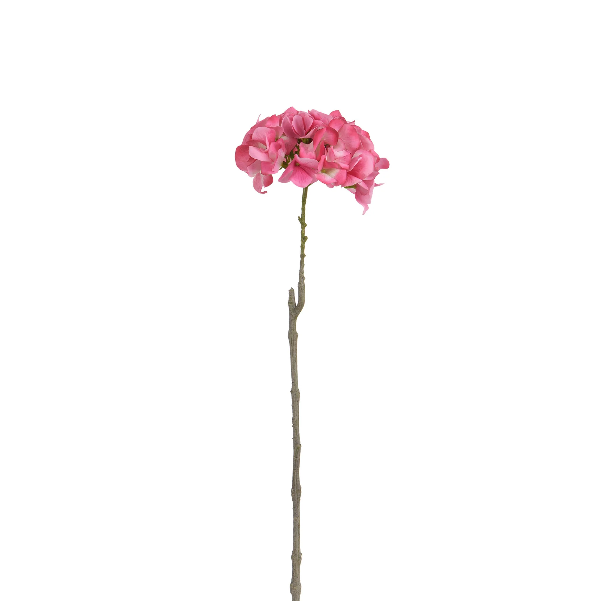Tige d’Hortensia 63 cm - Image 17