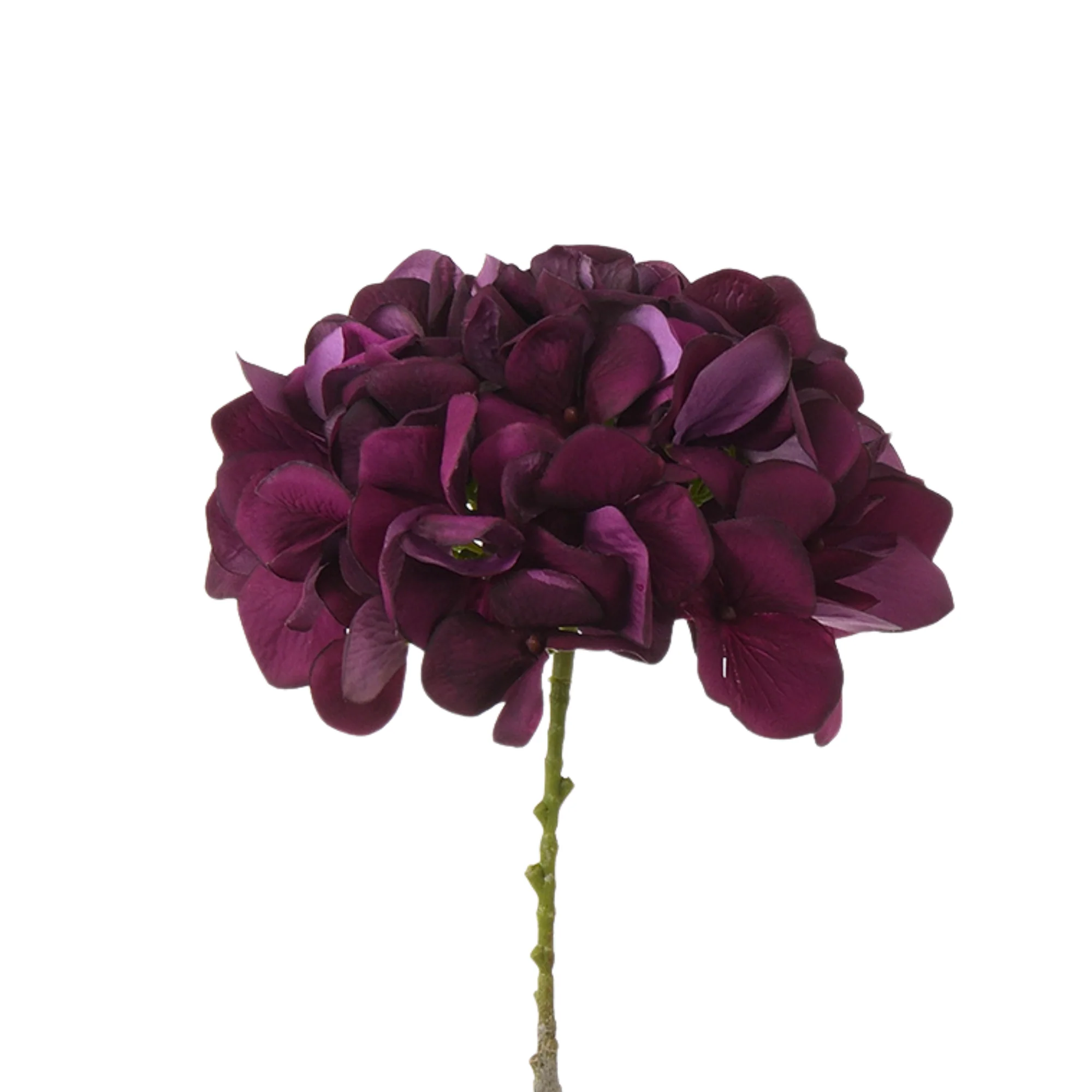 Tige d’Hortensia 63 cm - Image 18