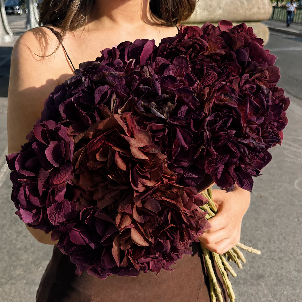 Tige d’Hortensia 63 cm - Image 20