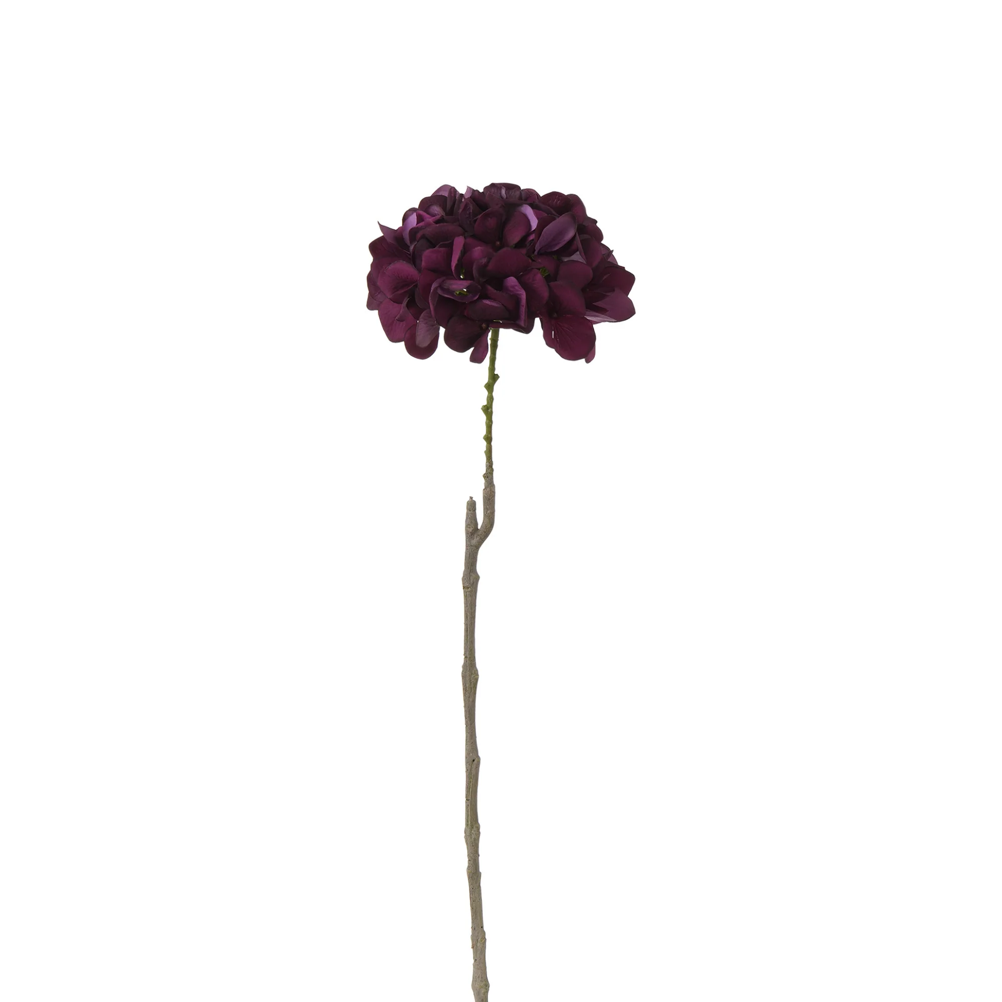 Tige d’Hortensia 63 cm - Image 21