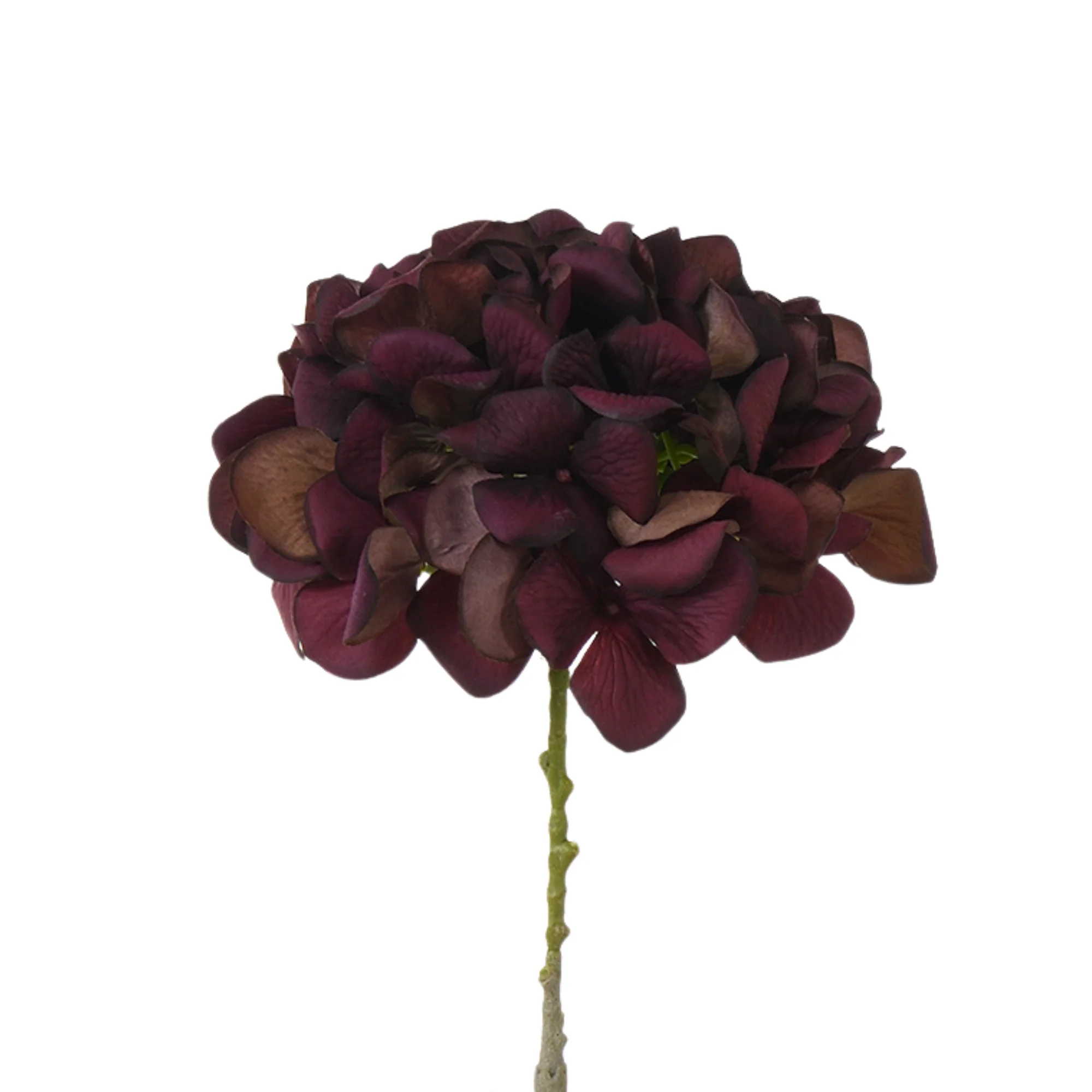 Tige d’Hortensia 63 cm - Image 22