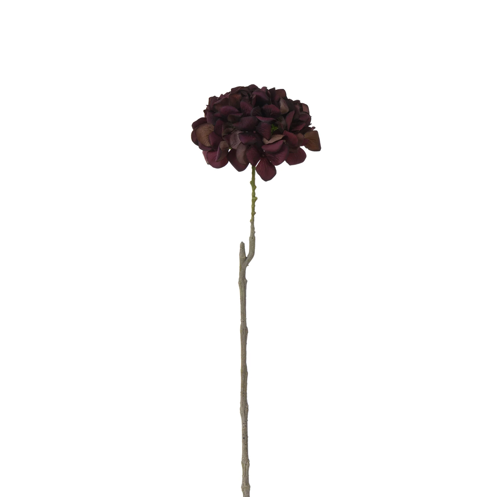 Tige d’Hortensia 63 cm - Image 25