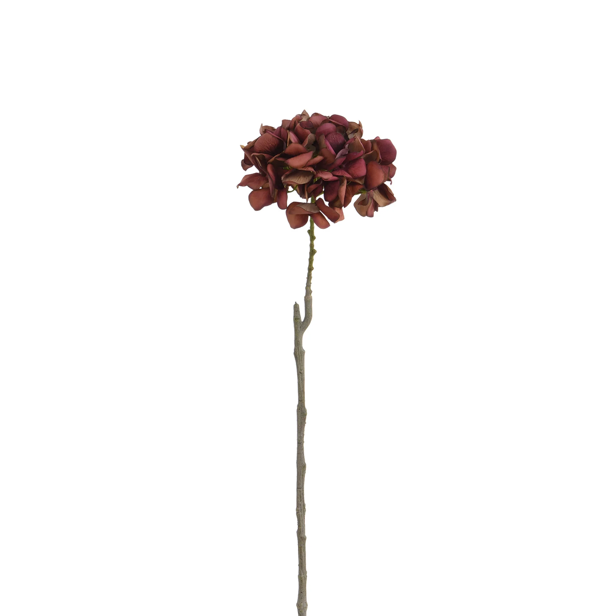 Tige d’Hortensia 63 cm - Image 29