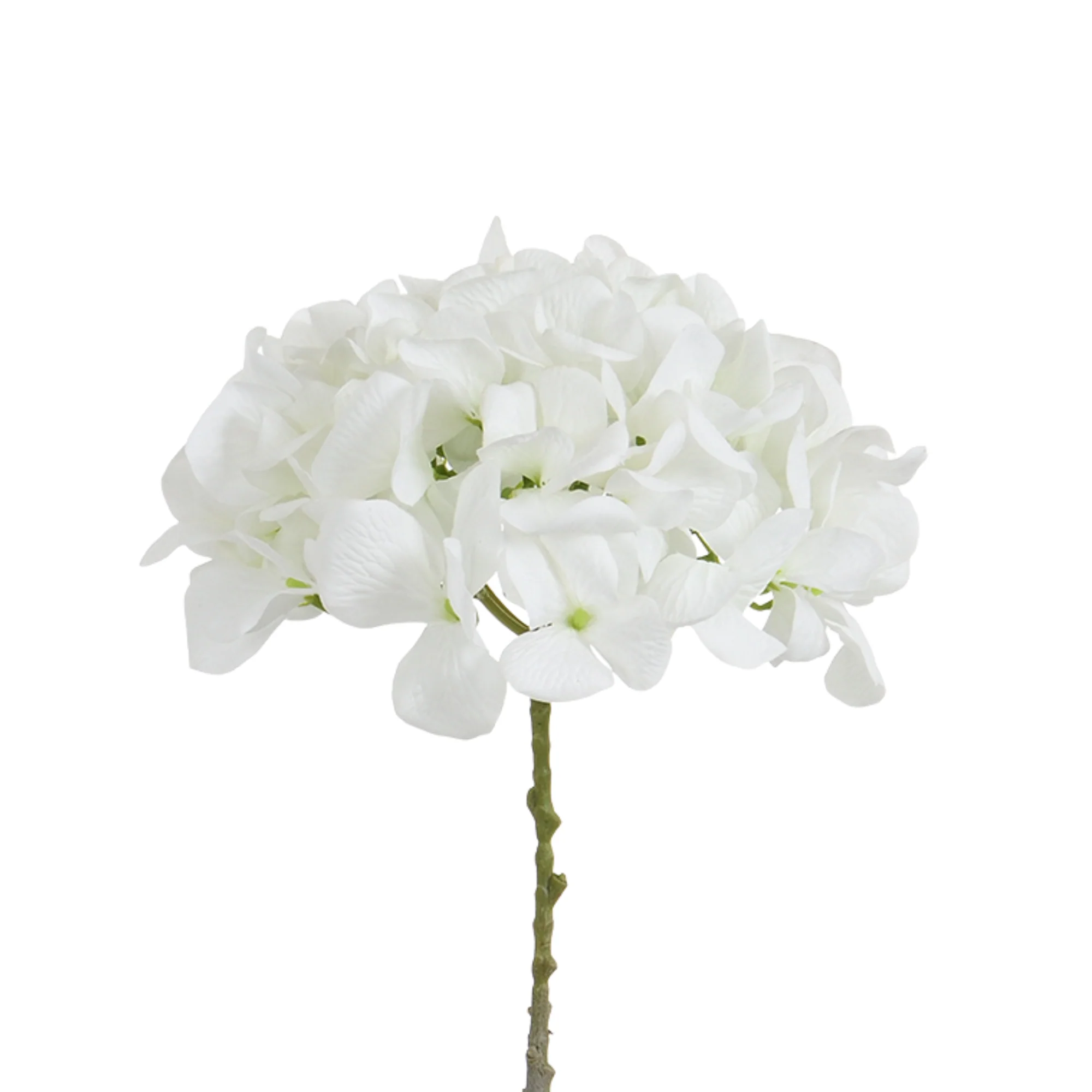 Tige d’Hortensia 63 cm - Image 30