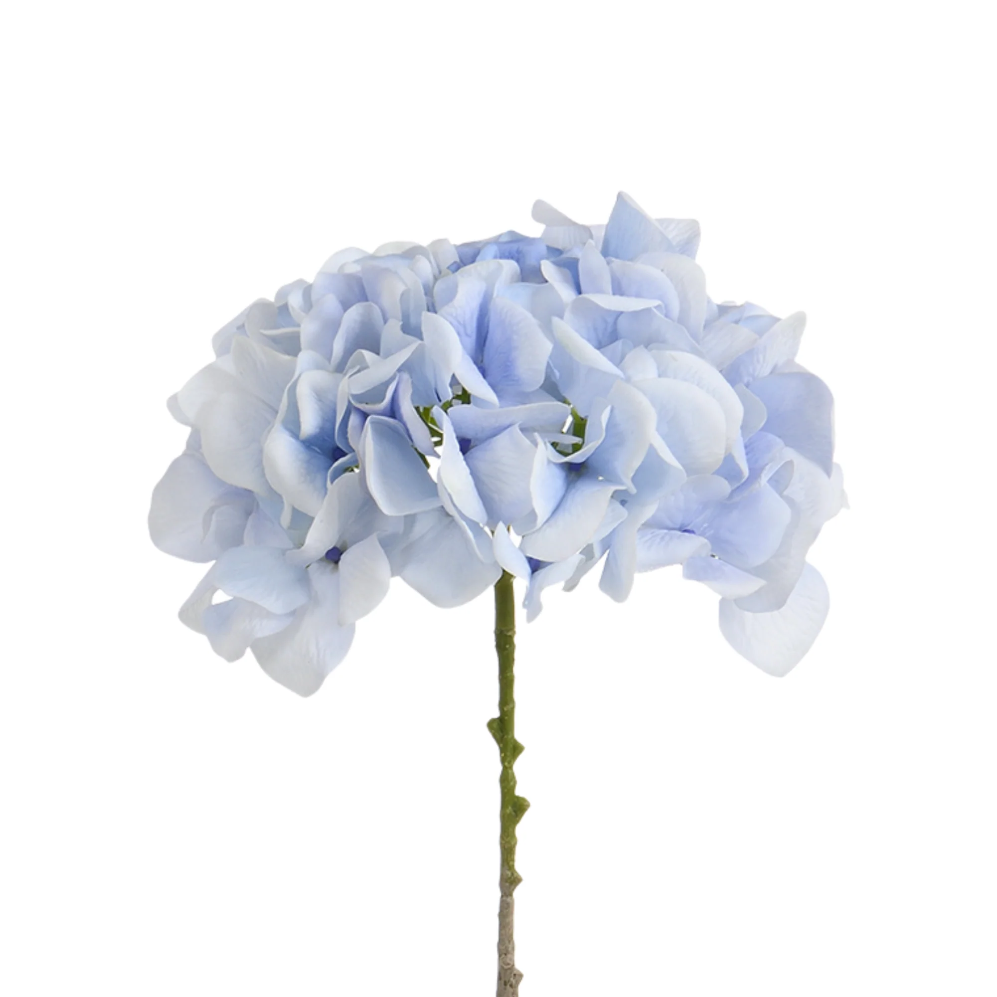 Tige d’Hortensia 63 cm - Image 35