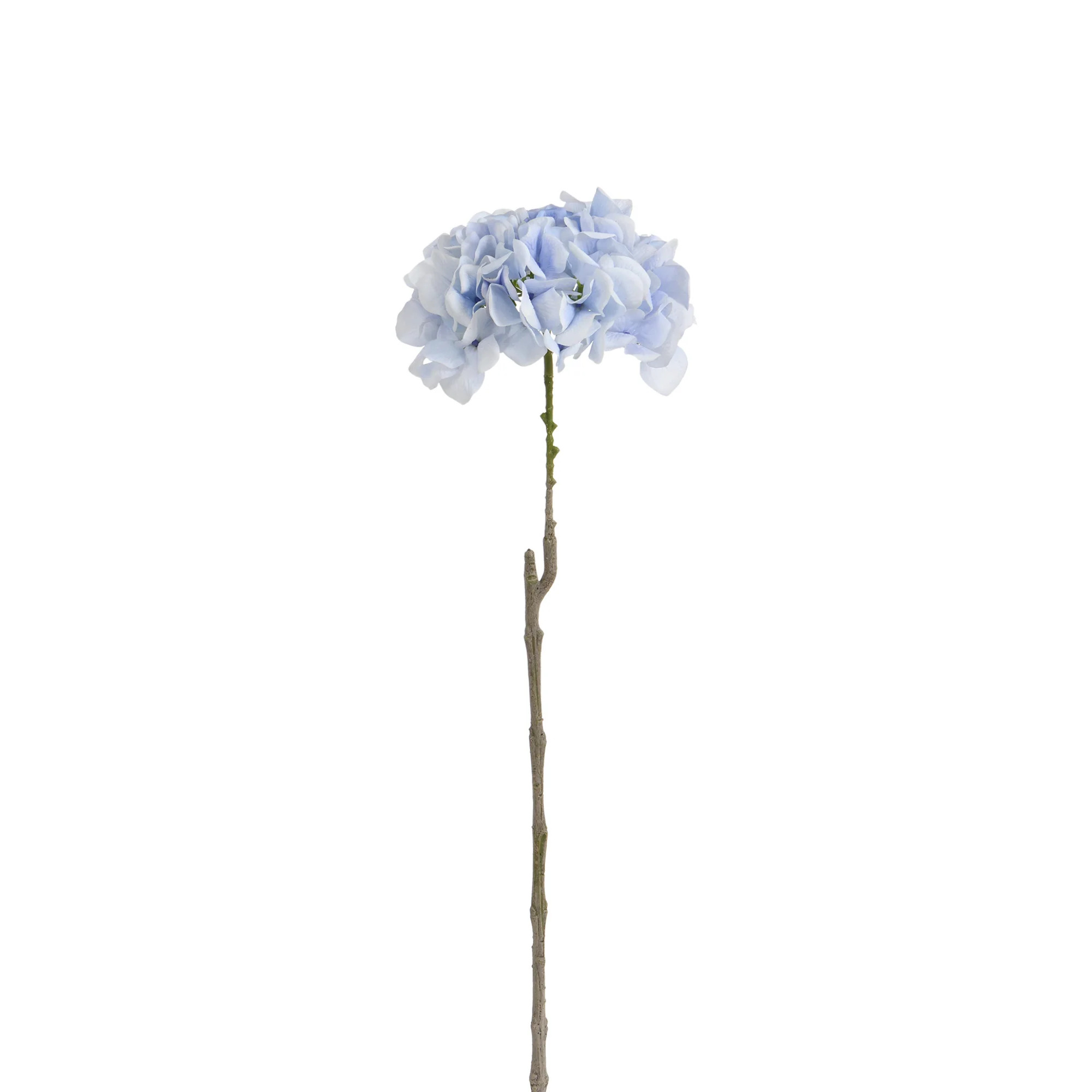 Tige d’Hortensia 63 cm - Image 38