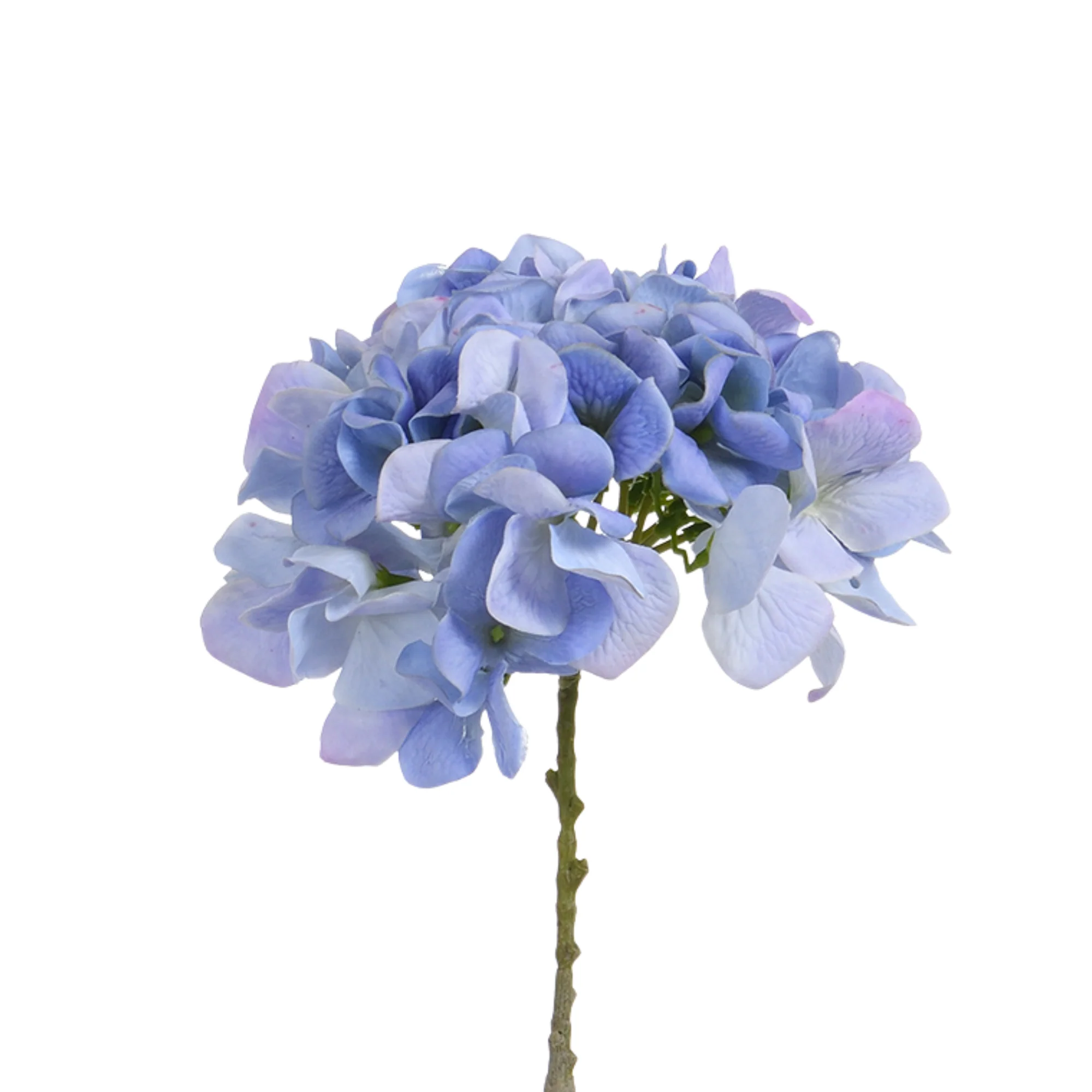 Tige d’Hortensia 63 cm - Image 40