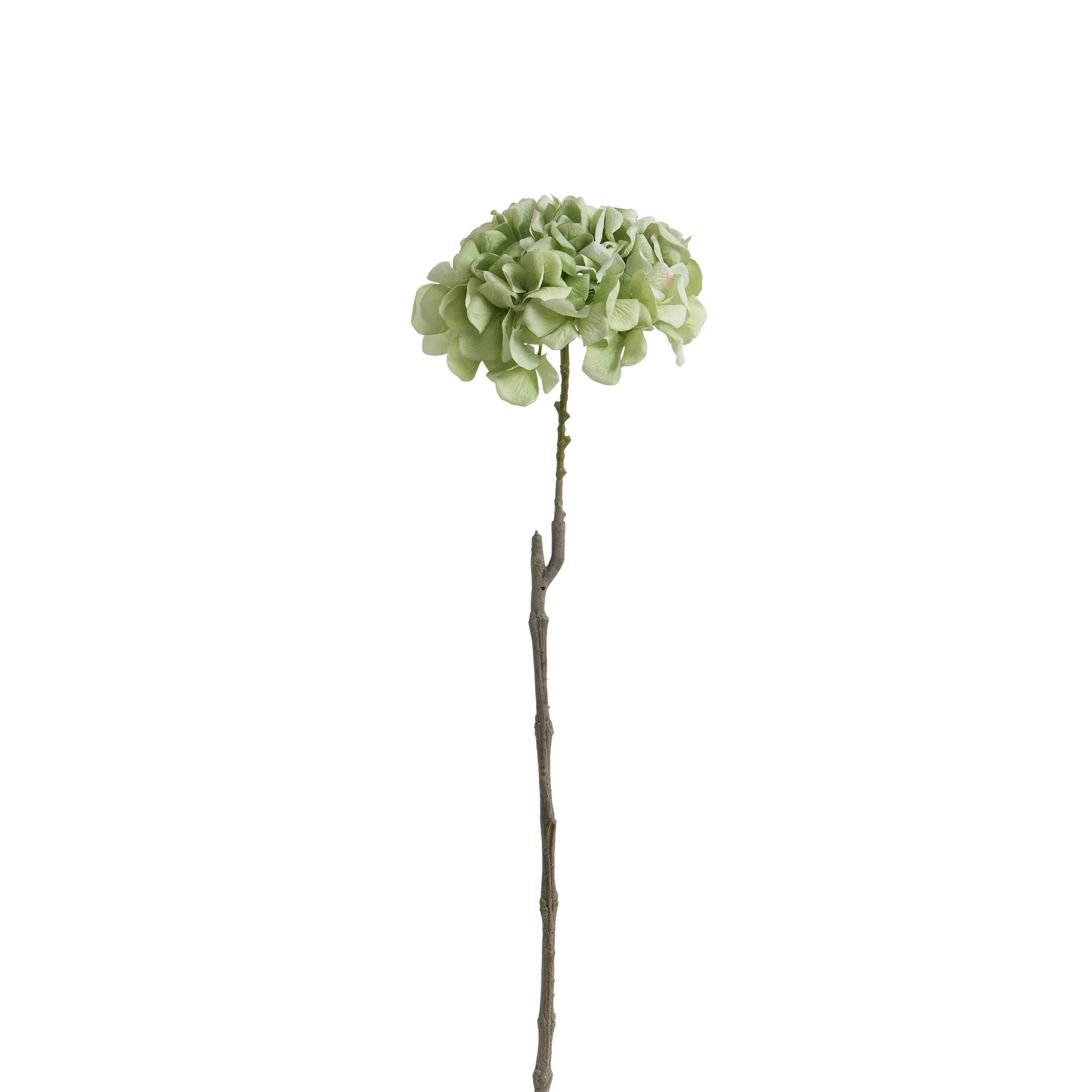 Tige d’Hortensia 63 cm - Image 5