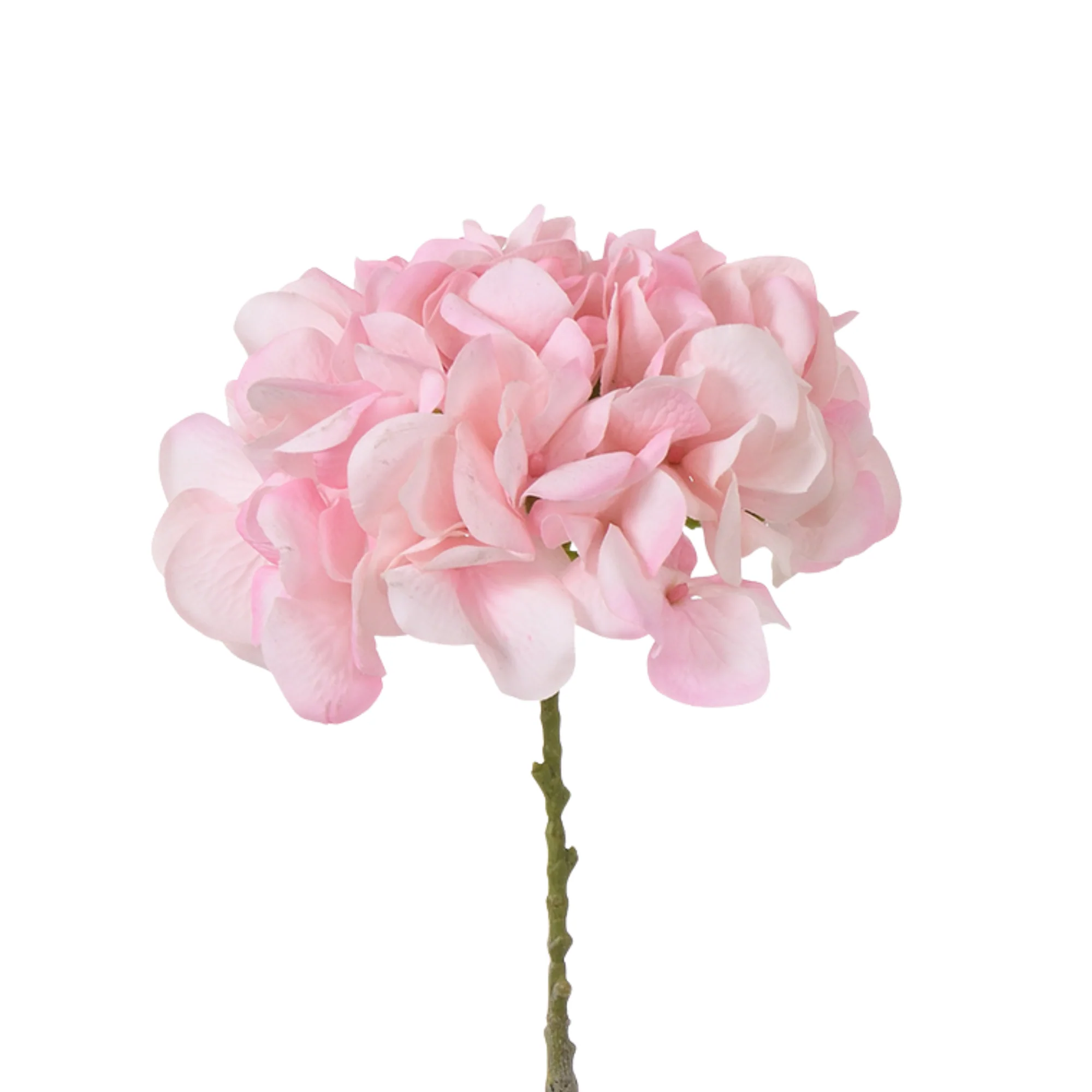Tige d’Hortensia 63 cm - Image 6