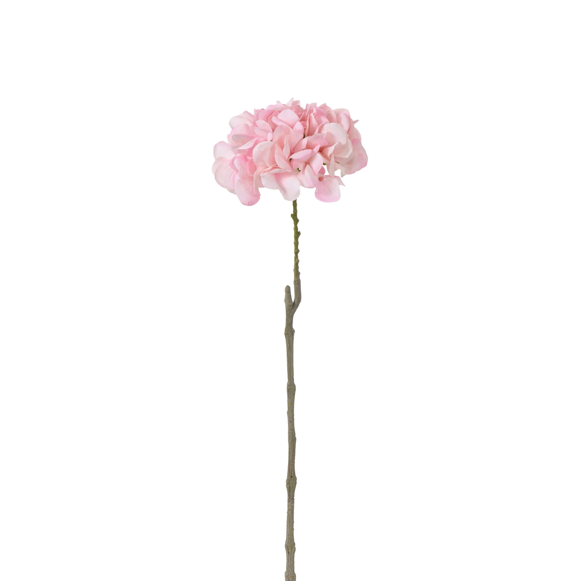 Tige d’Hortensia 63 cm - Image 9