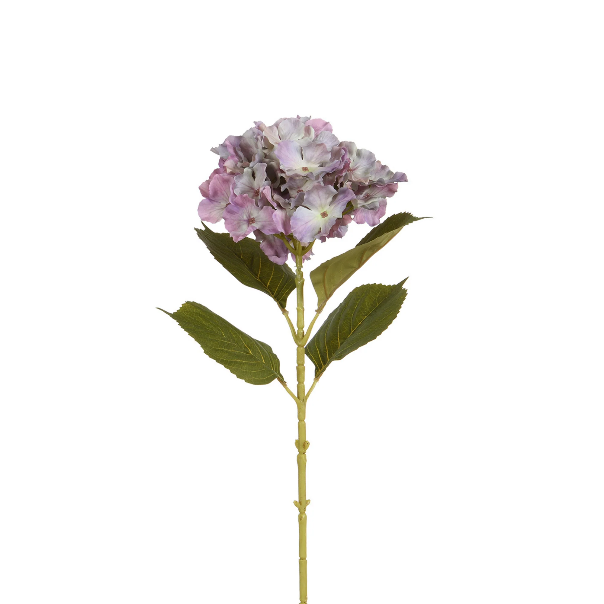 Tige d’Hortensia 68 cm - Image 13
