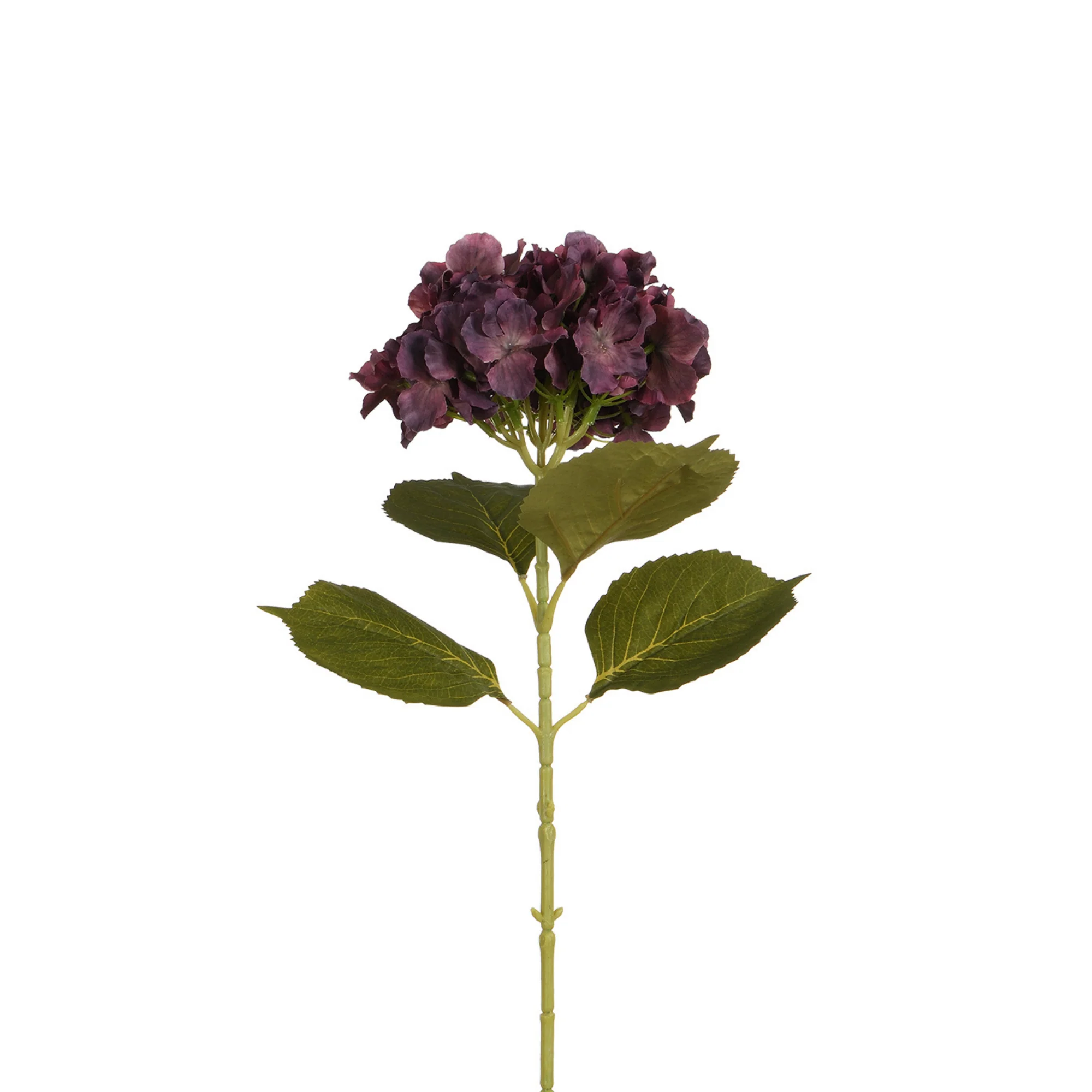 Tige d’Hortensia 68 cm - Image 3