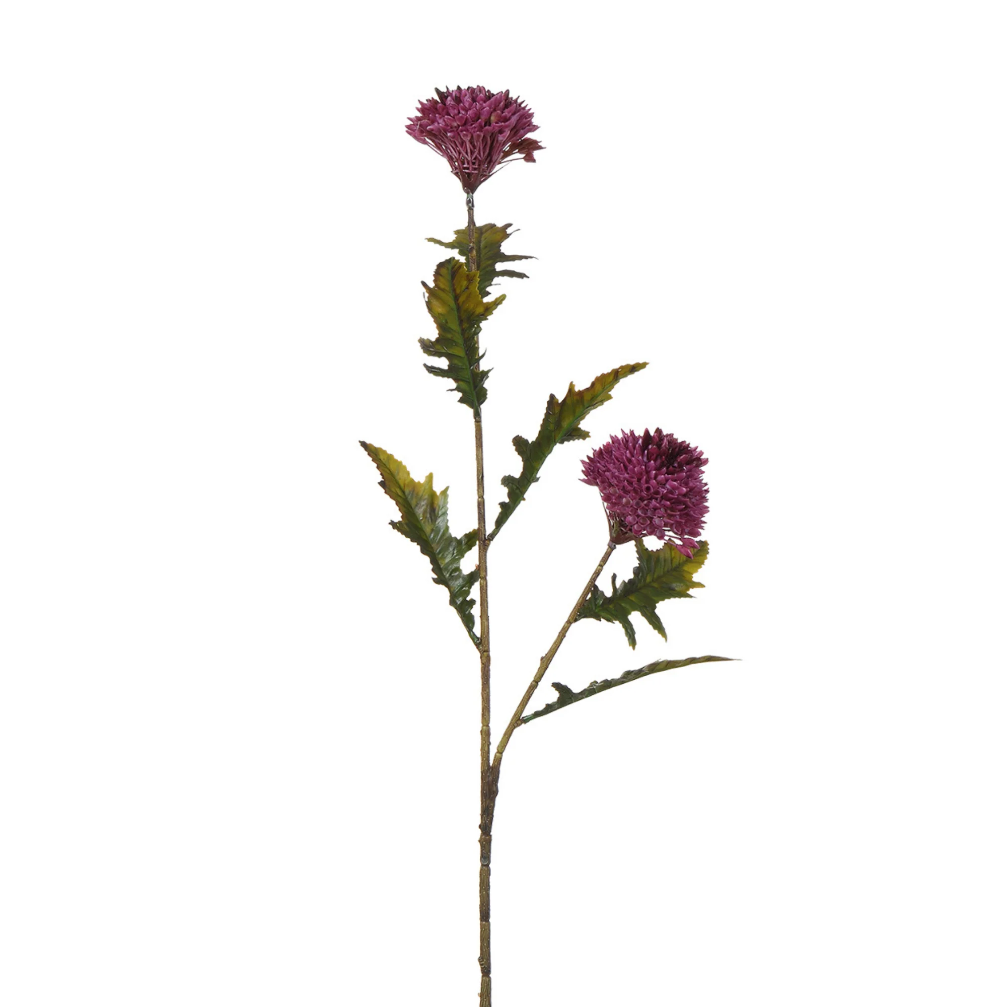 Tige de Chardon 78 cm - Image 12