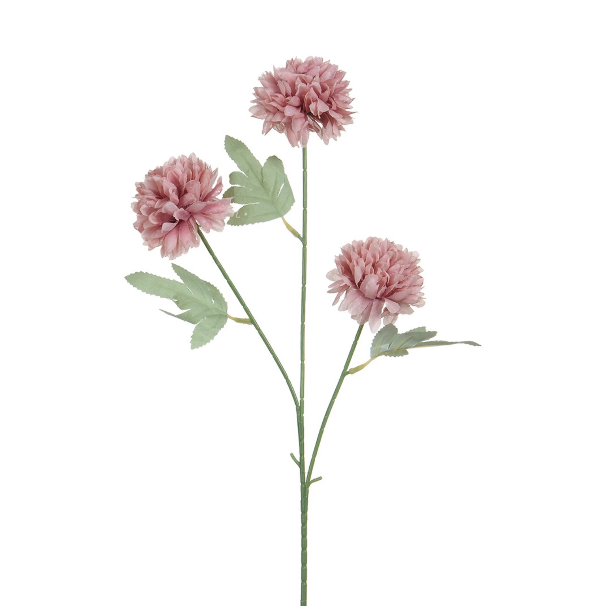 Tige de Chrysanthème 63 cm - Image 10