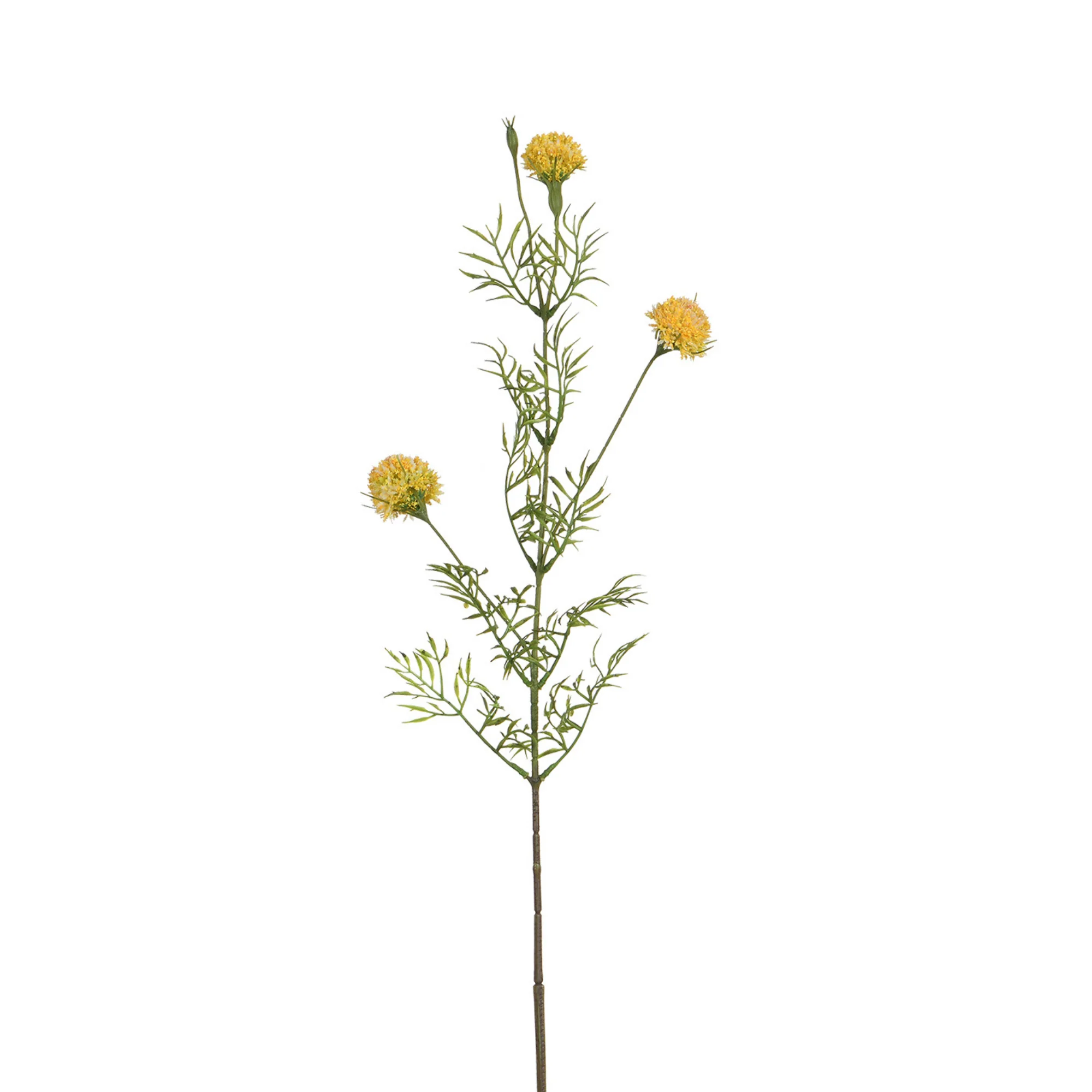 Tige de Chrysanthème Ping Pong 78 cm