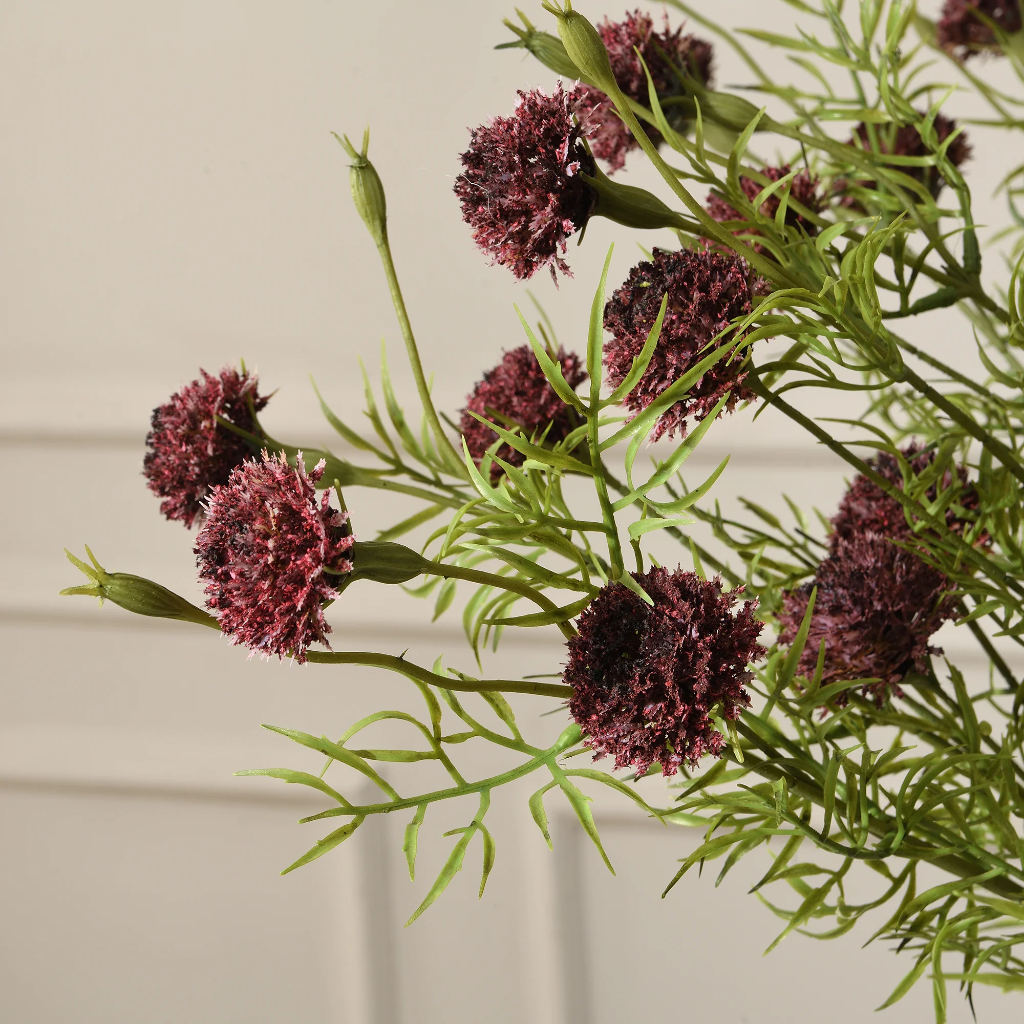 Tige de Chrysanthème Ping Pong 78 cm - Image 11