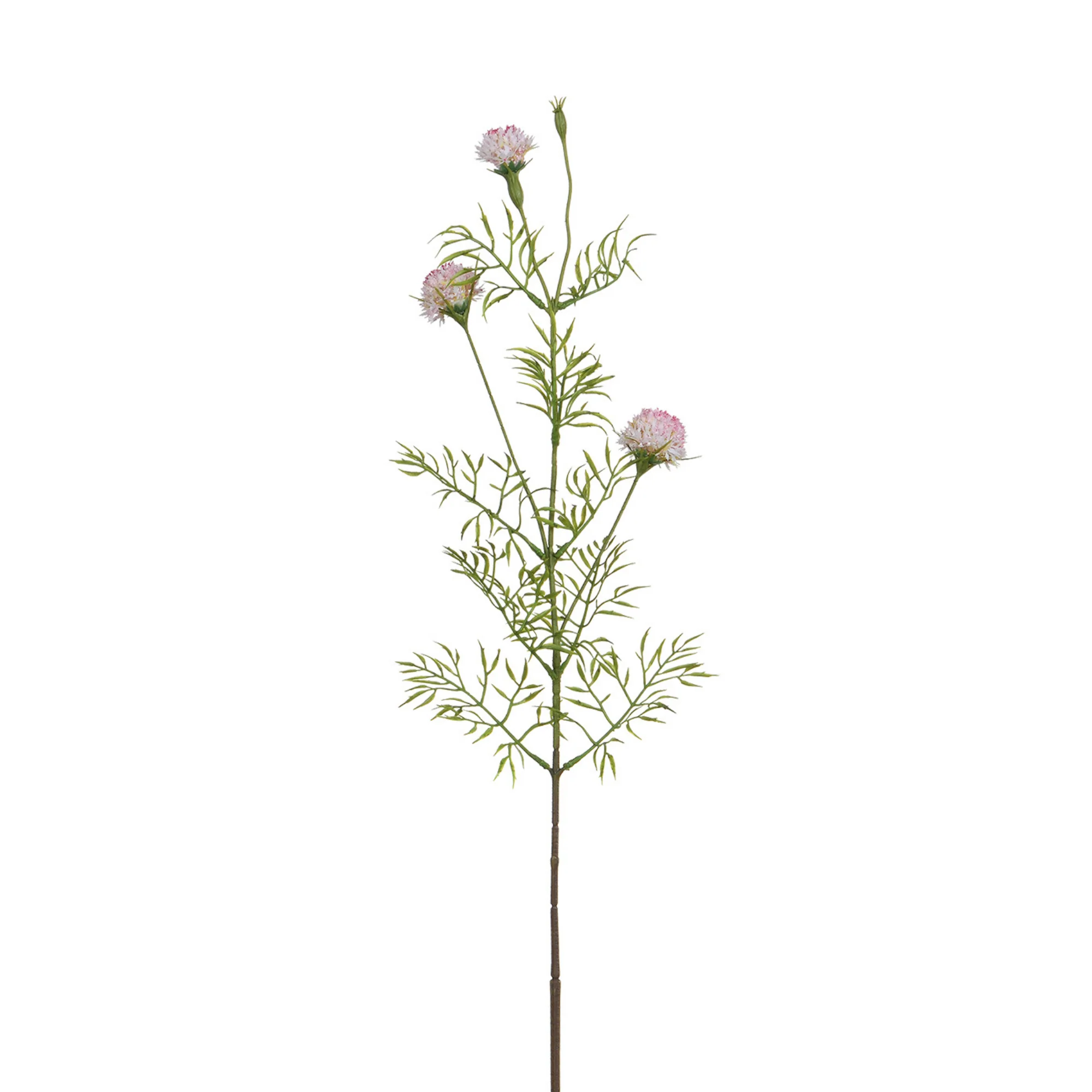 Tige de Chrysanthème Ping Pong 78 cm - Image 12