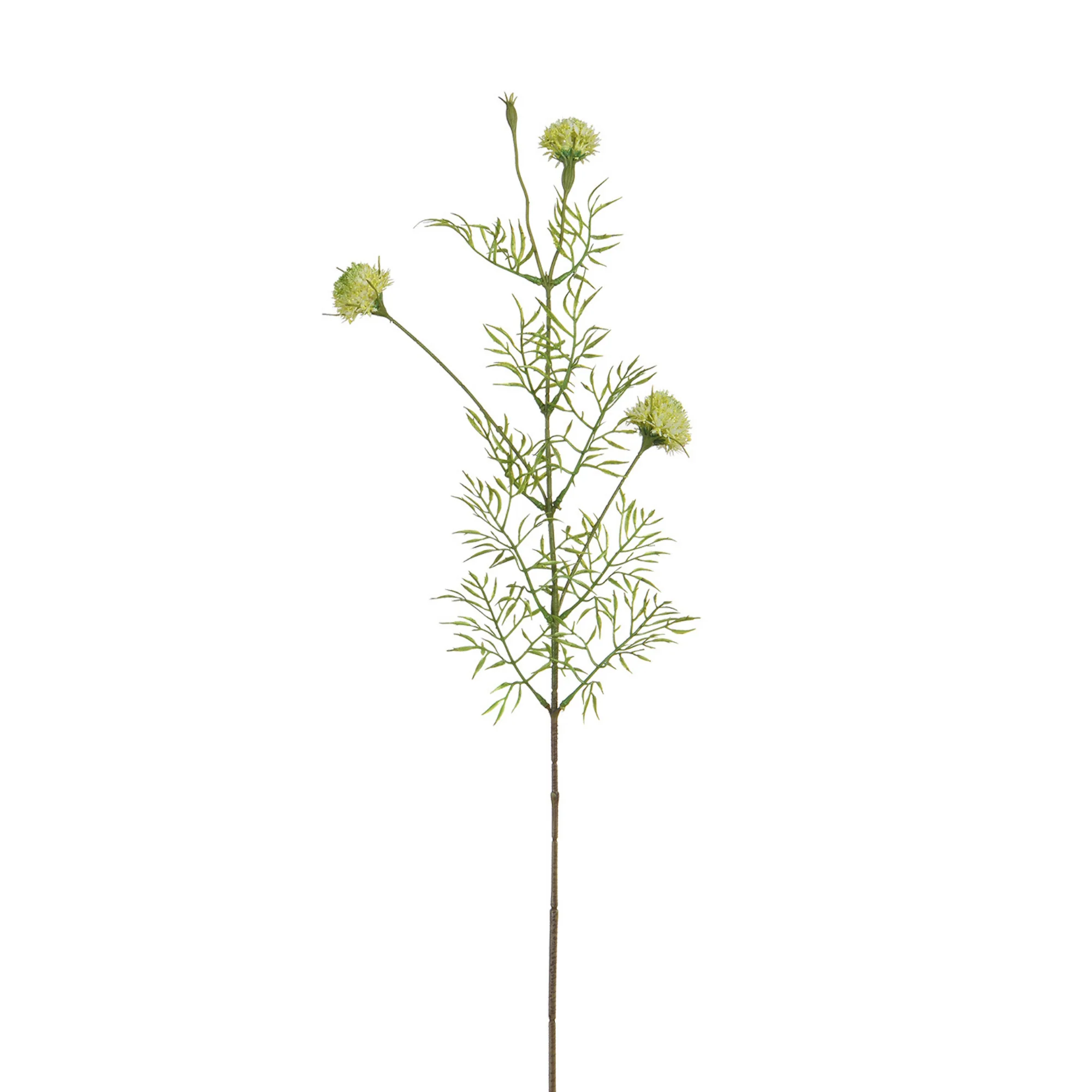 Tige de Chrysanthème Ping Pong 78 cm - Image 15