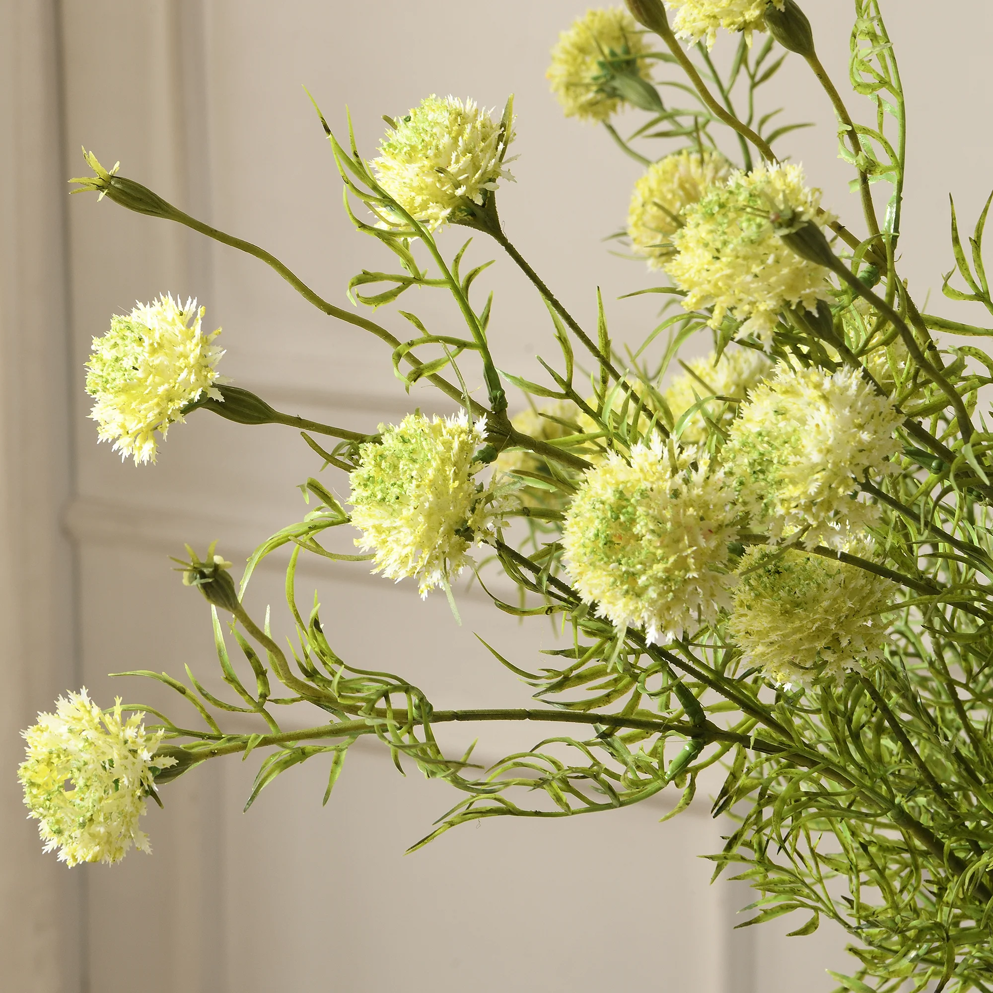 Tige de Chrysanthème Ping Pong 78 cm - Image 17