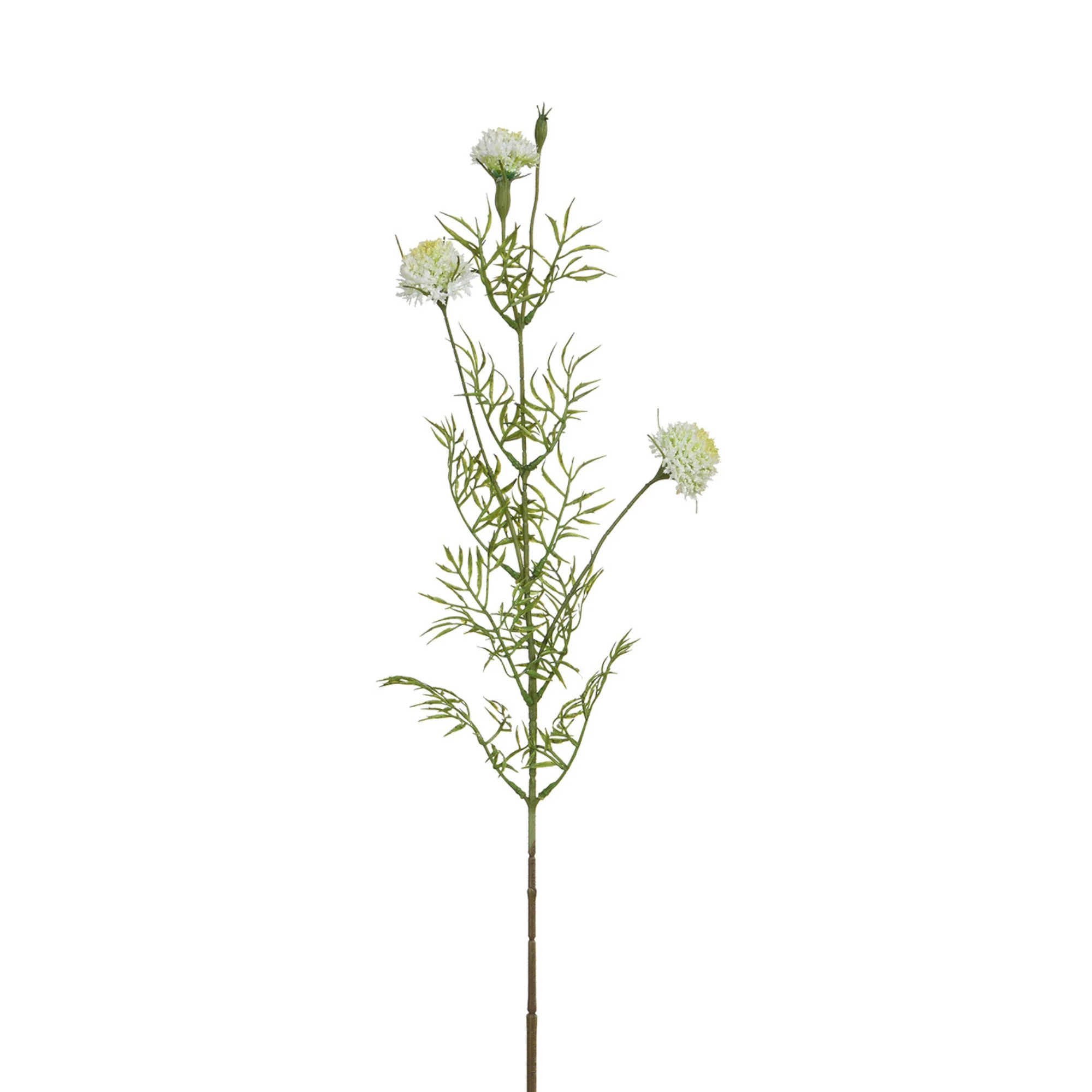 Tige de Chrysanthème Ping Pong 78 cm - Image 6