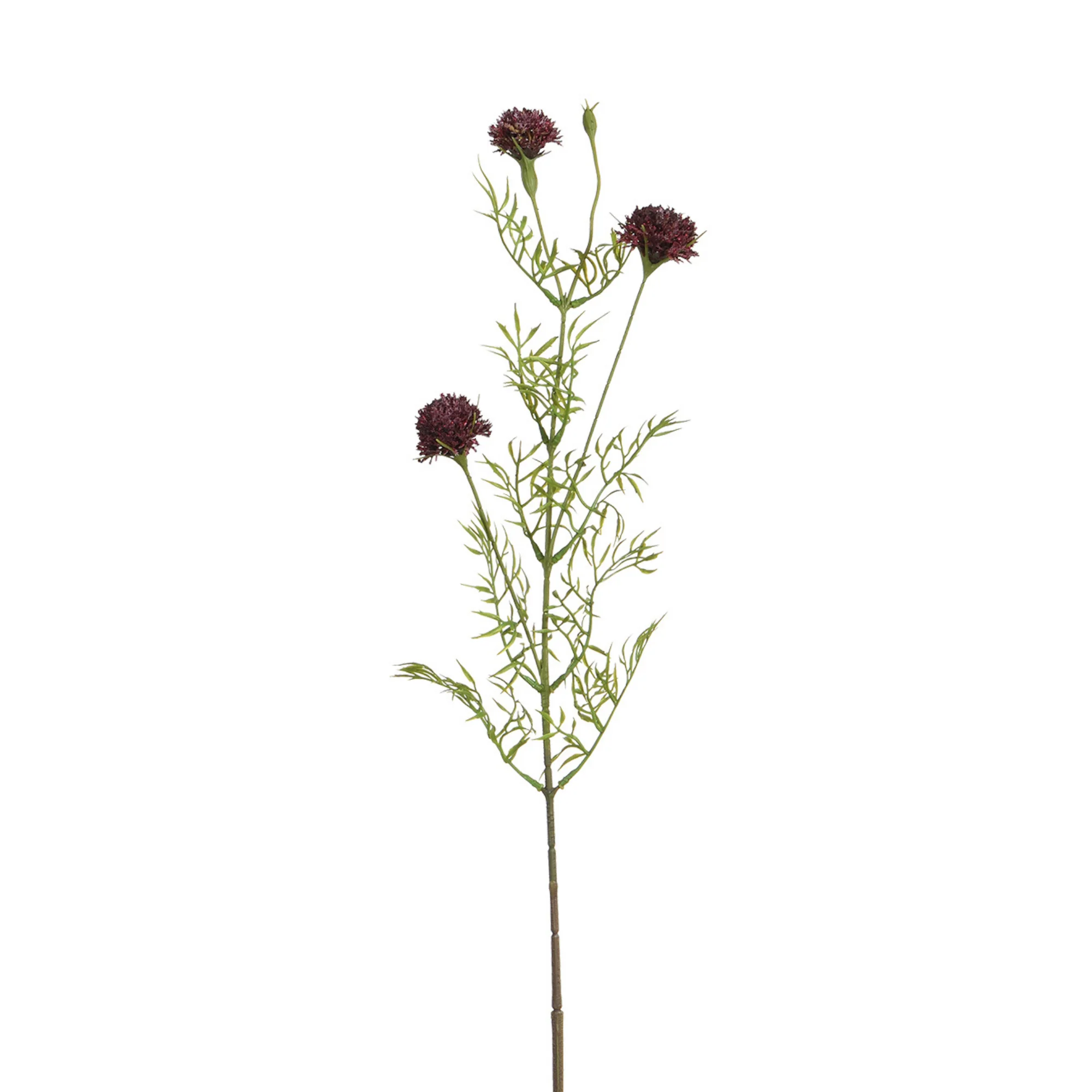 Tige de Chrysanthème Ping Pong 78 cm - Image 9