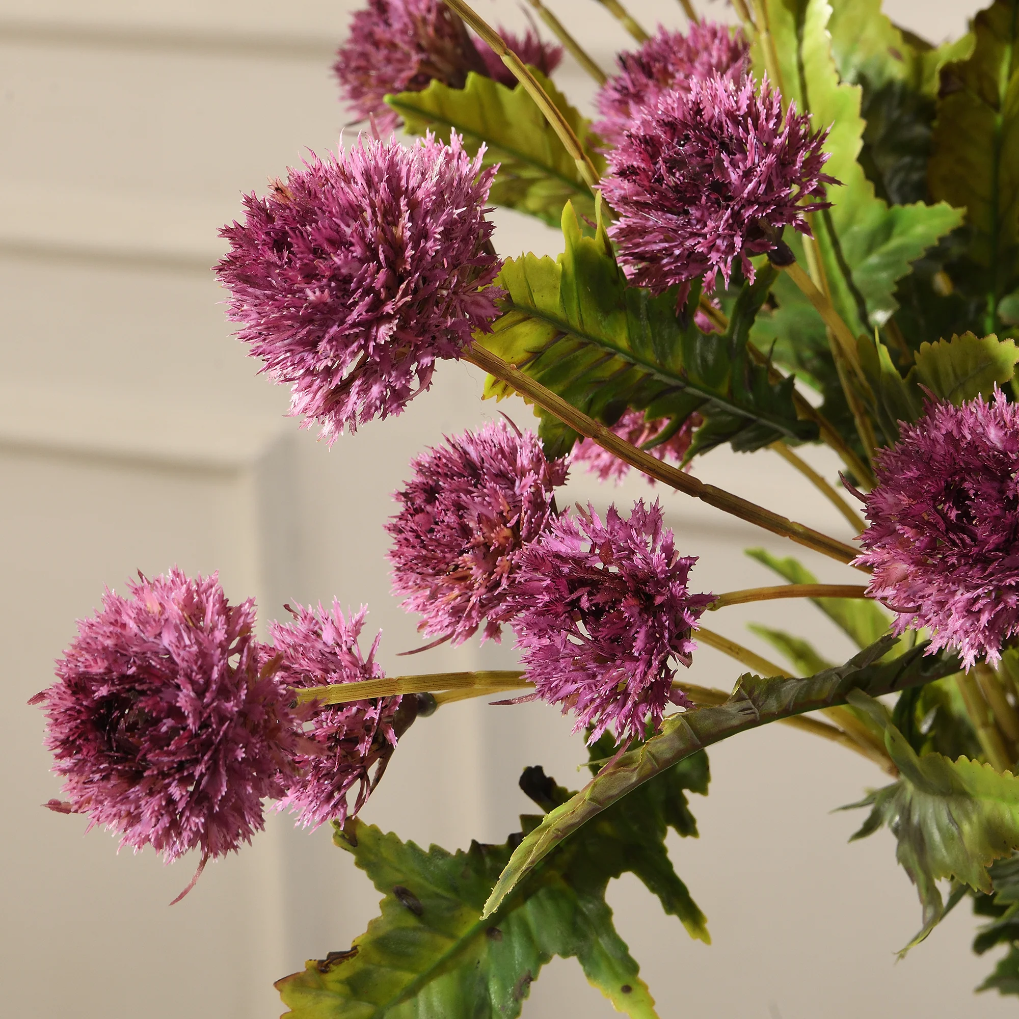 Tige de Chrysanthème Ping Pong 62 cm - Image 13