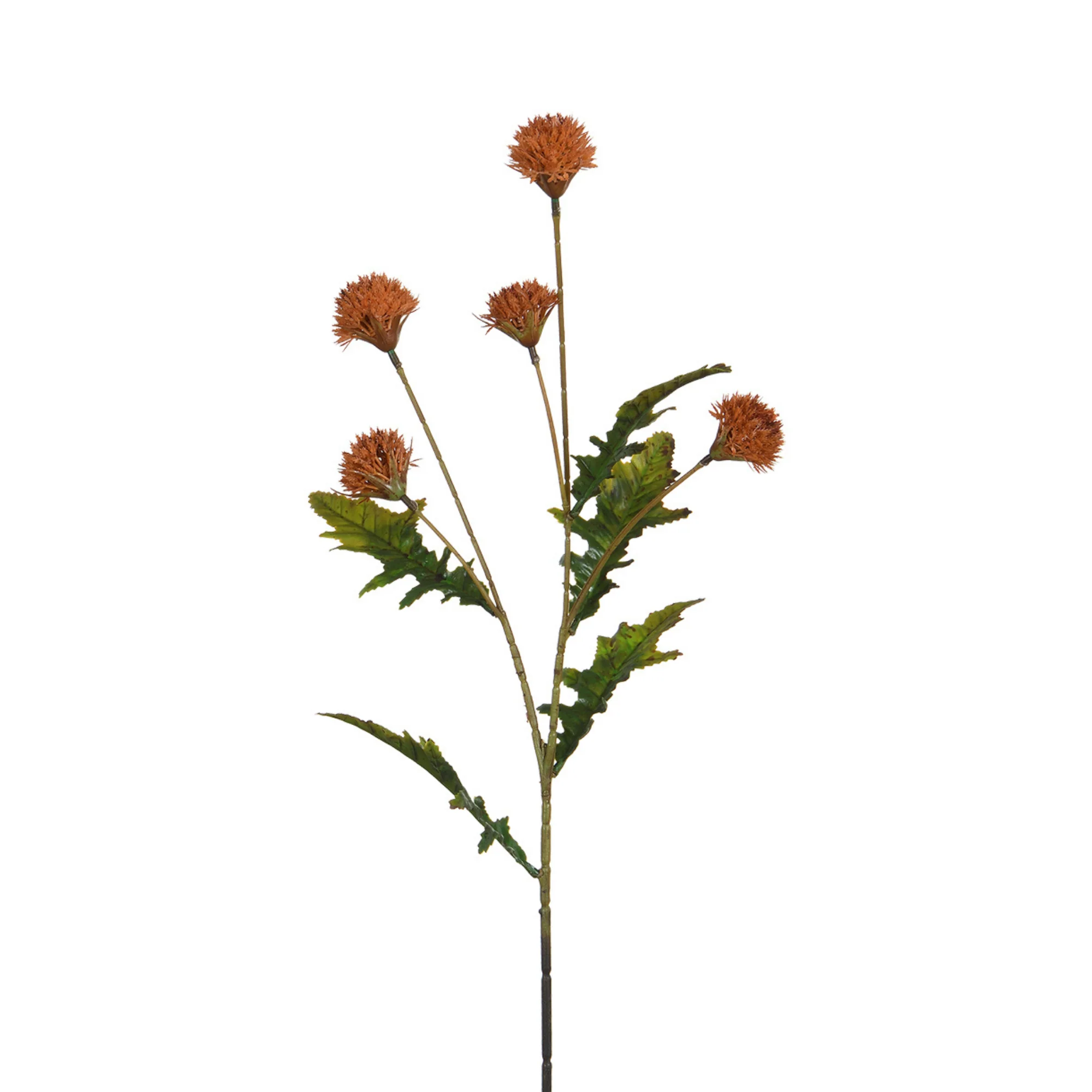 Tige de Chrysanthème Ping Pong 62 cm - Image 16