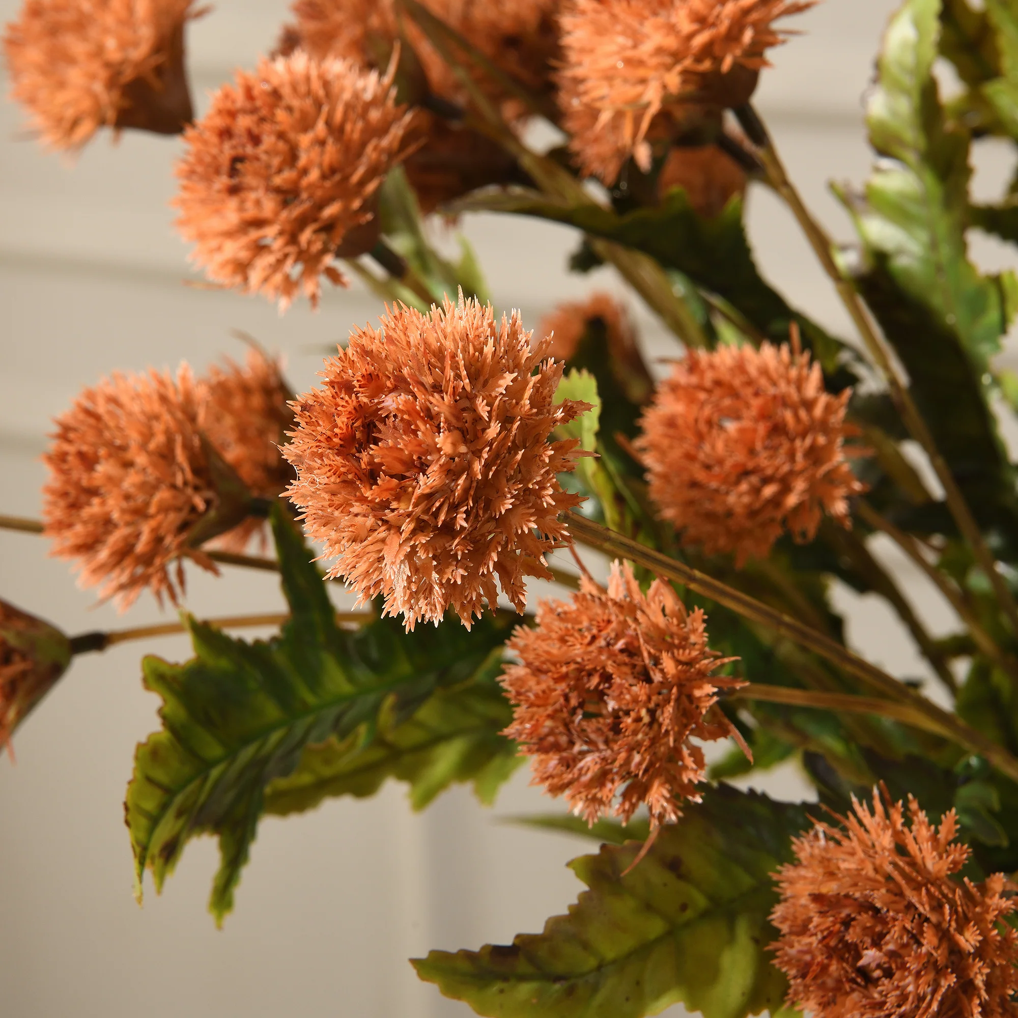 Tige de Chrysanthème Ping Pong 62 cm - Image 18