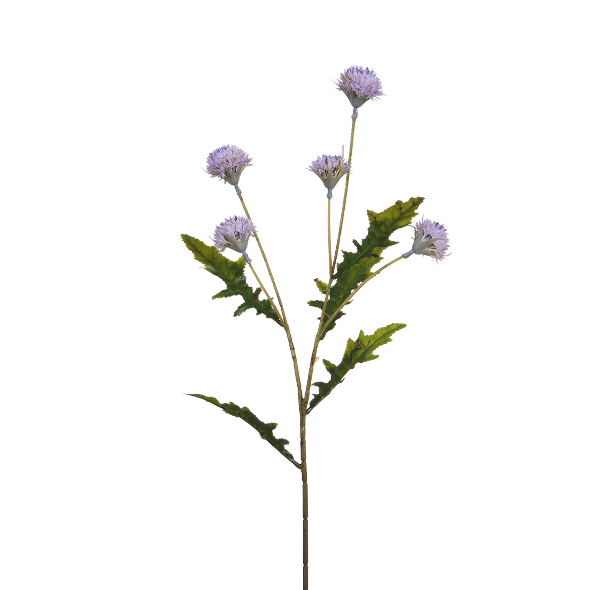 Tige de Chrysanthème Ping Pong 62 cm - Image 19
