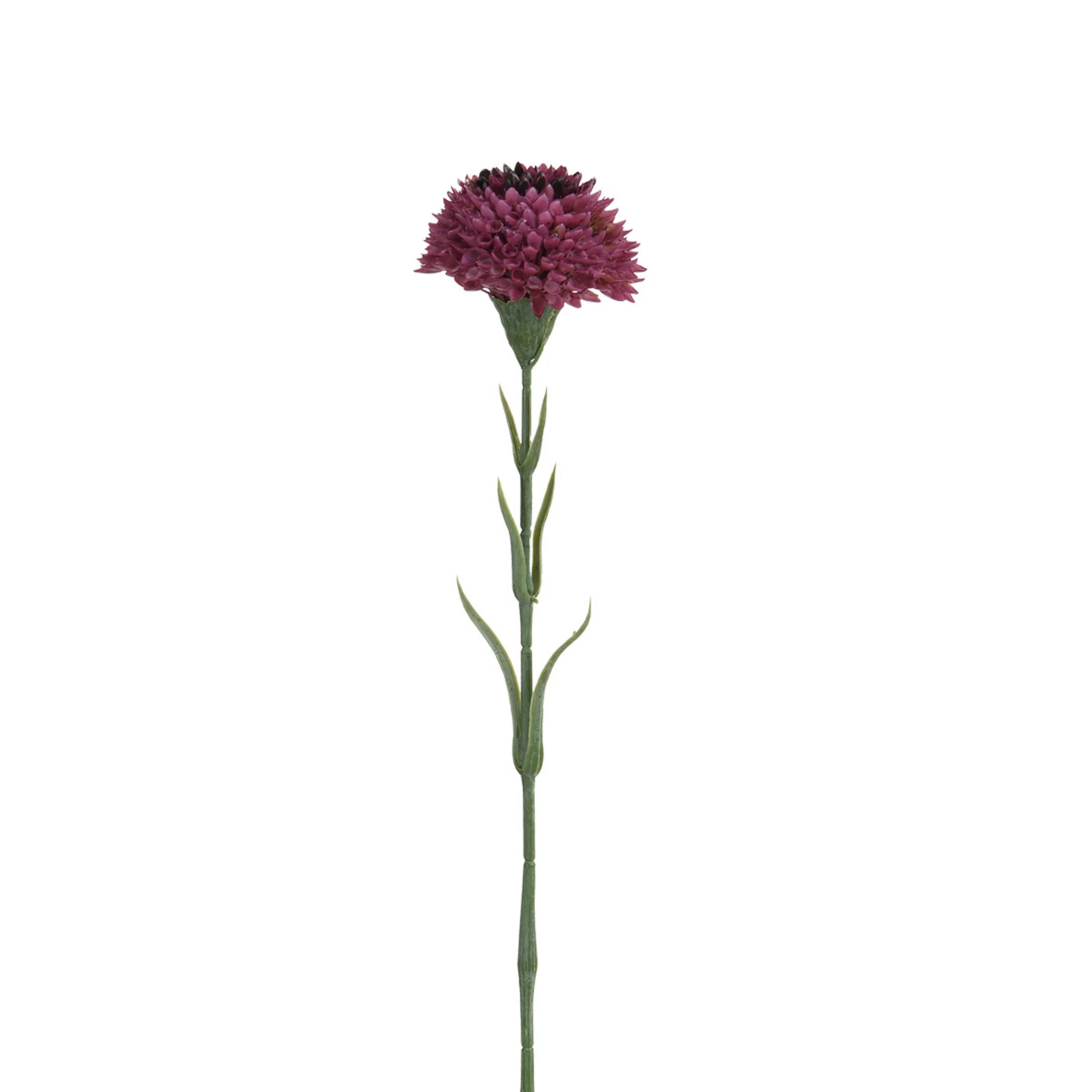 Tige de Dahlia 58 cm - Image 10