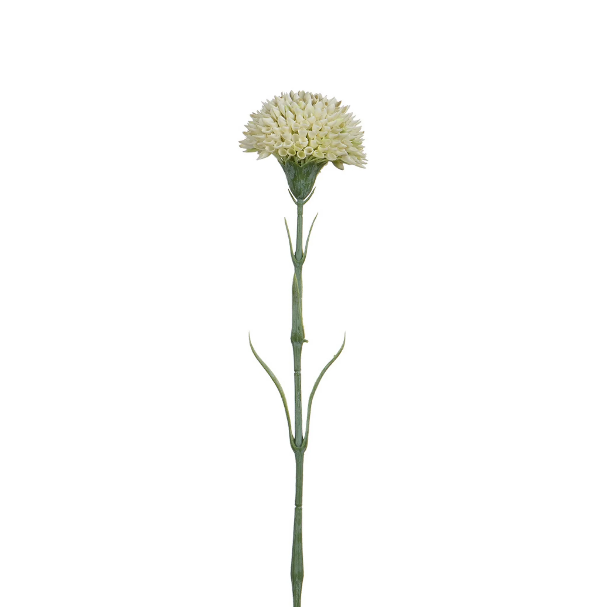 Tige de Dahlia 58 cm - Image 13