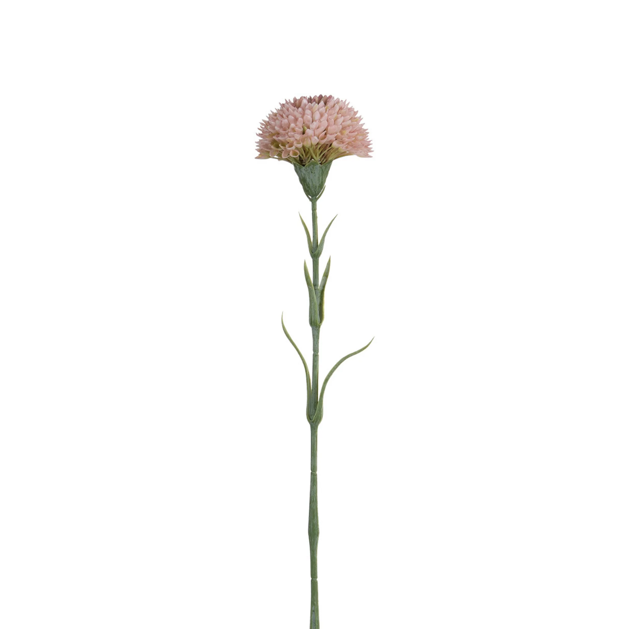 Tige de Dahlia 58 cm - Image 4