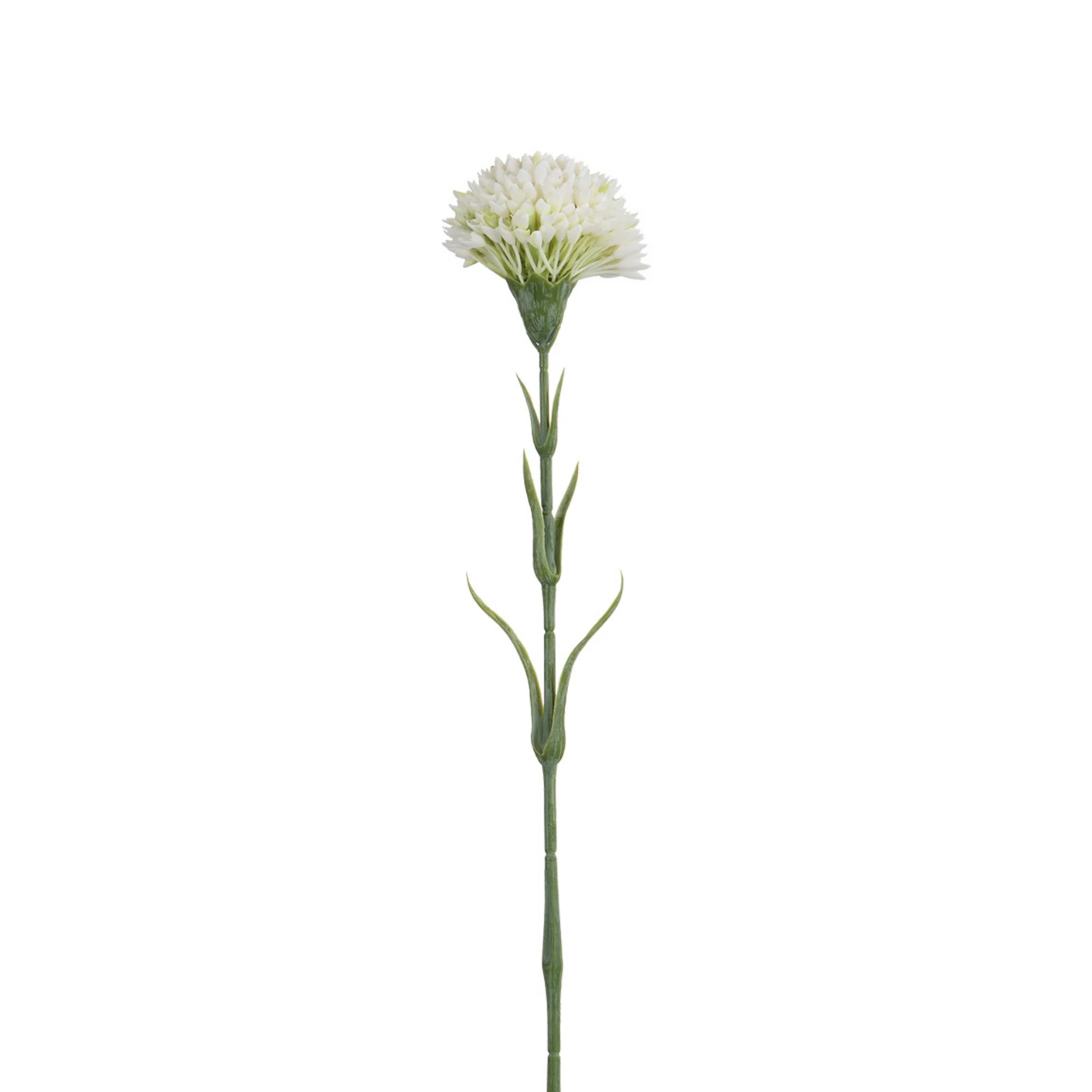 Tige de Dahlia 58 cm - Image 7