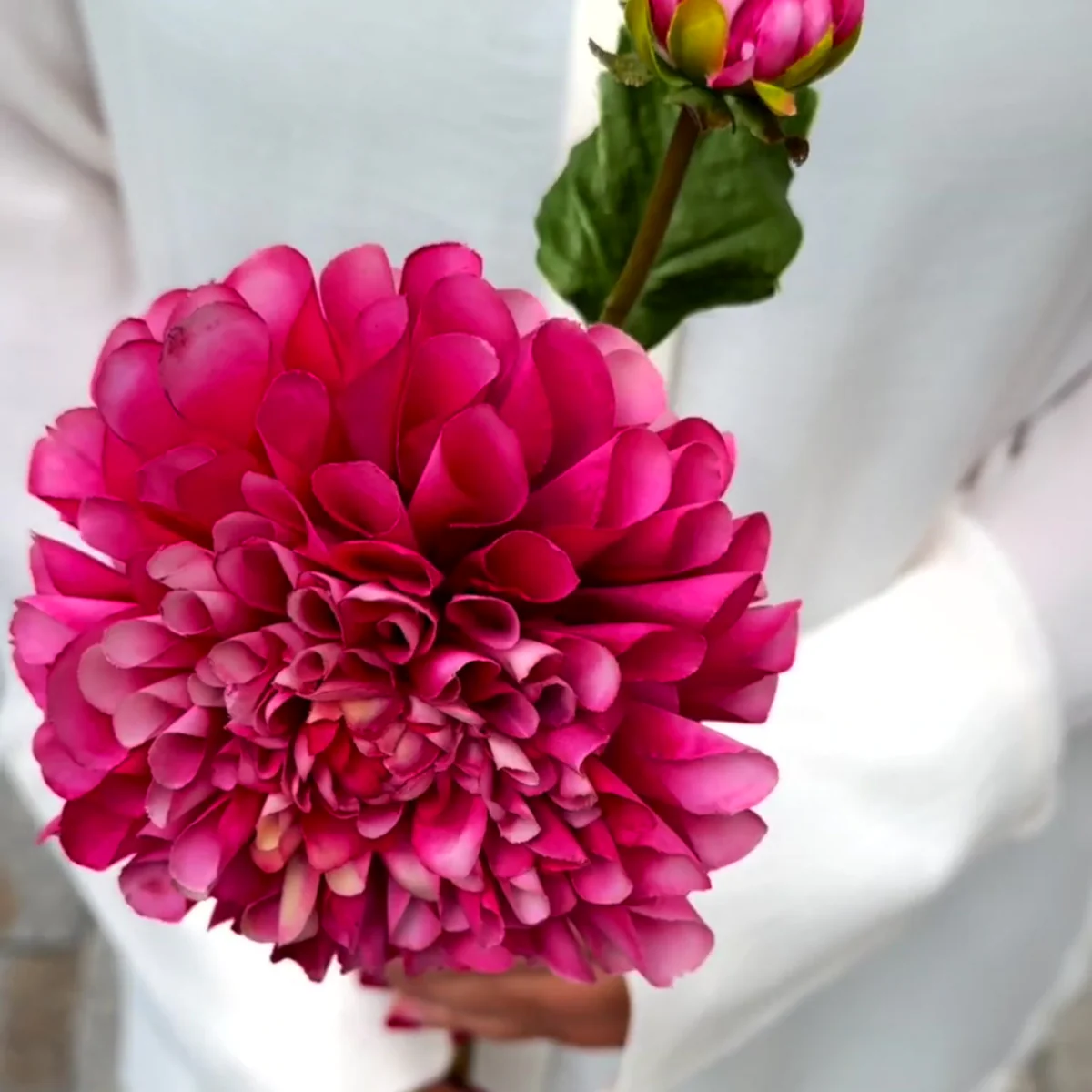 Tige de Dahlia avec bourgeon - Image 3