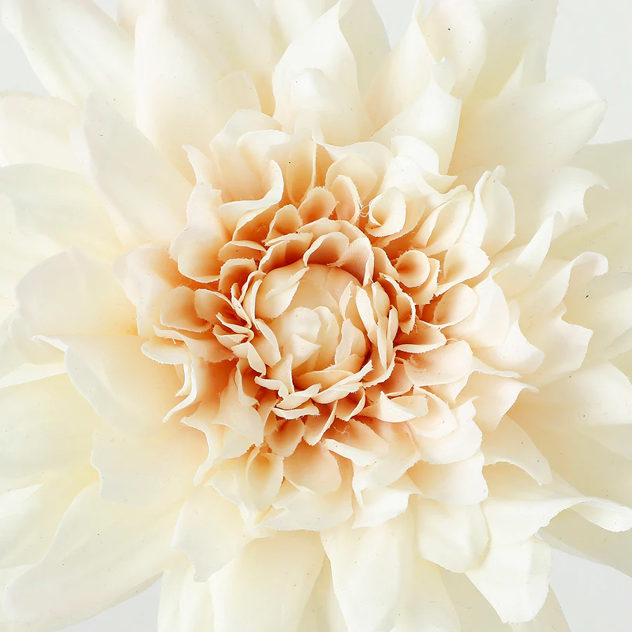 Tige de Dahlia Premium 50cm - Image 10