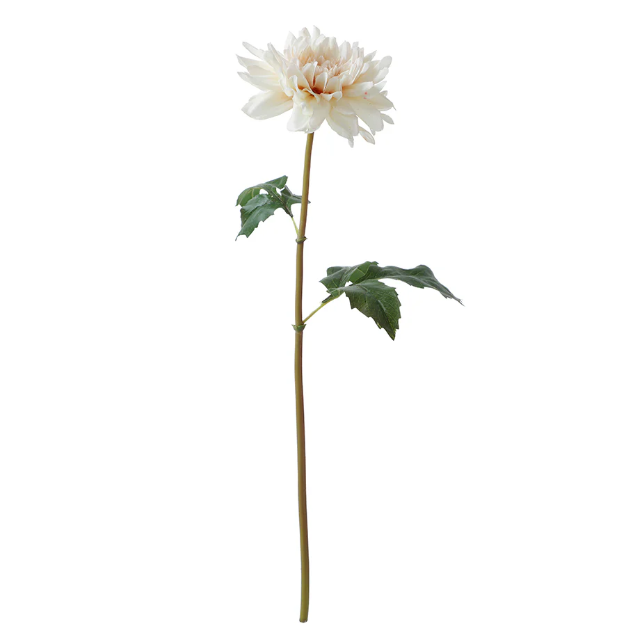 Tige de Dahlia Premium 50cm - Image 13