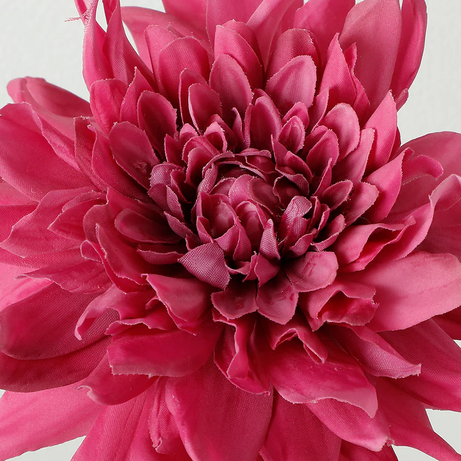 Tige de Dahlia Premium 50cm - Image 17