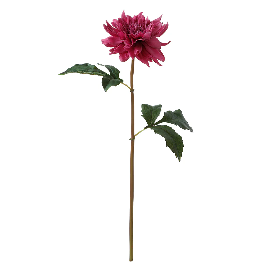 Tige de Dahlia Premium 50cm - Image 20
