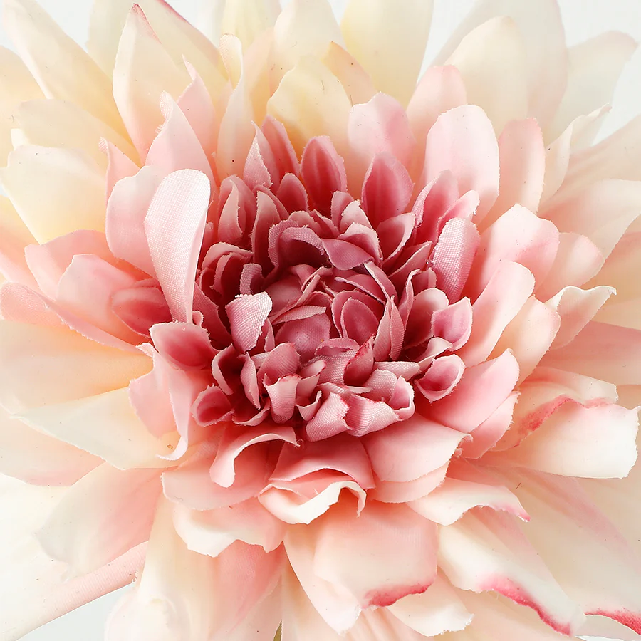 Tige de Dahlia Premium 50cm - Image 4