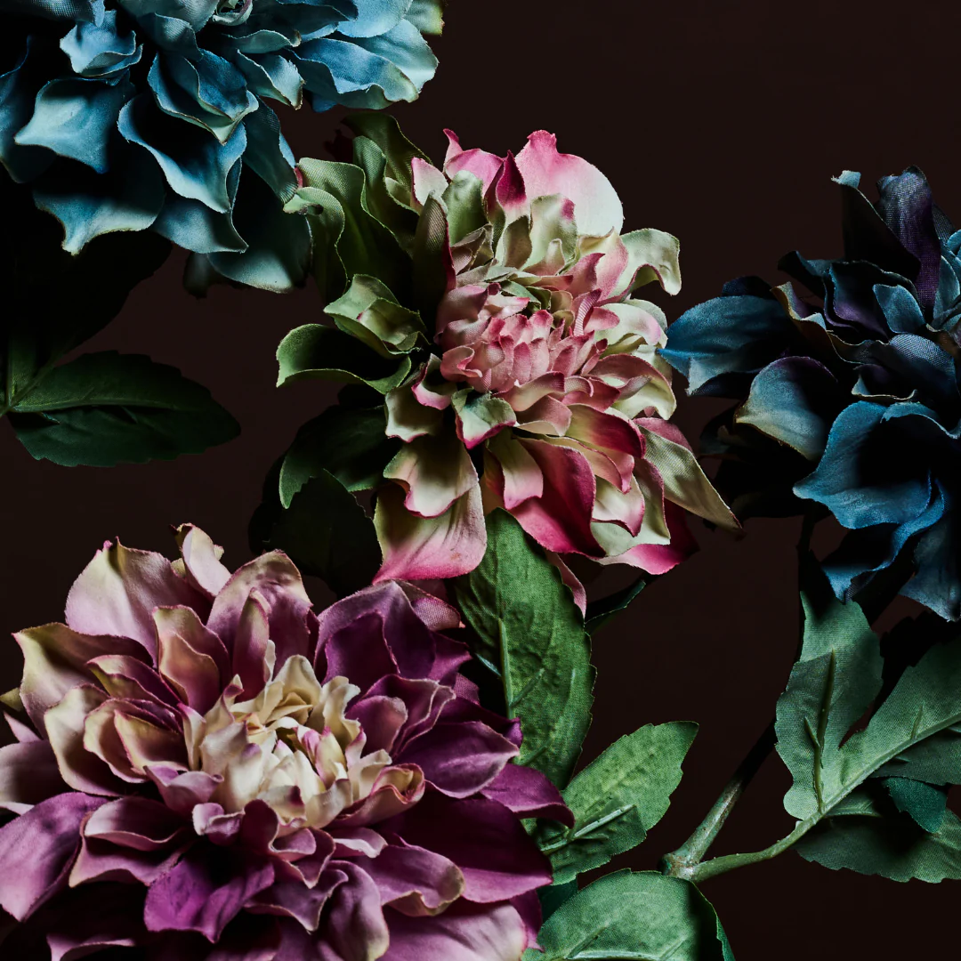 Tige de Dahlia Waterlily - Image 3