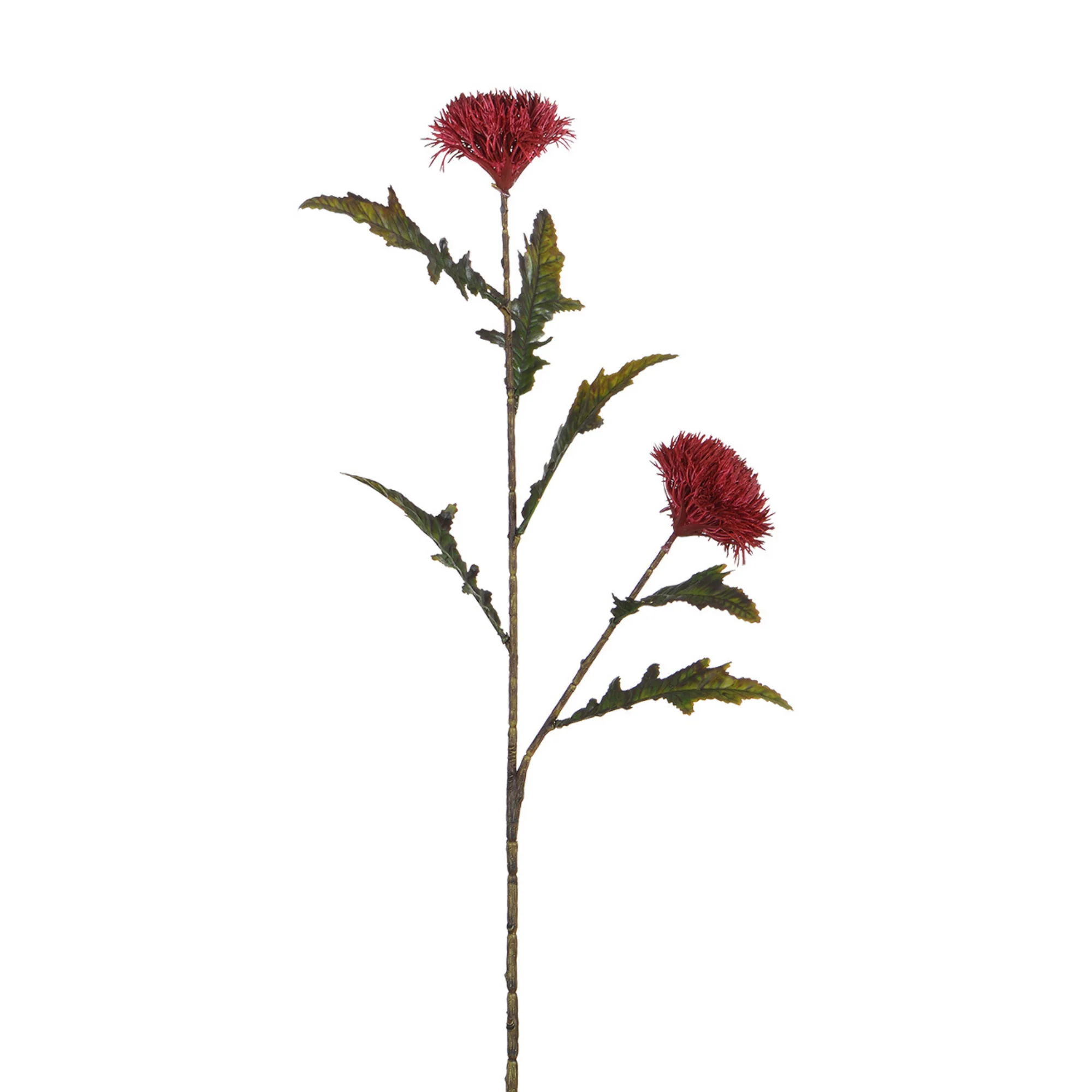 Tige de Chardon 78 cm - Image 11
