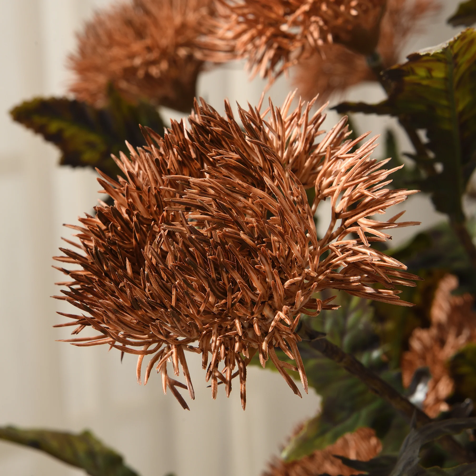 Tige de Chardon 78 cm - Image 16