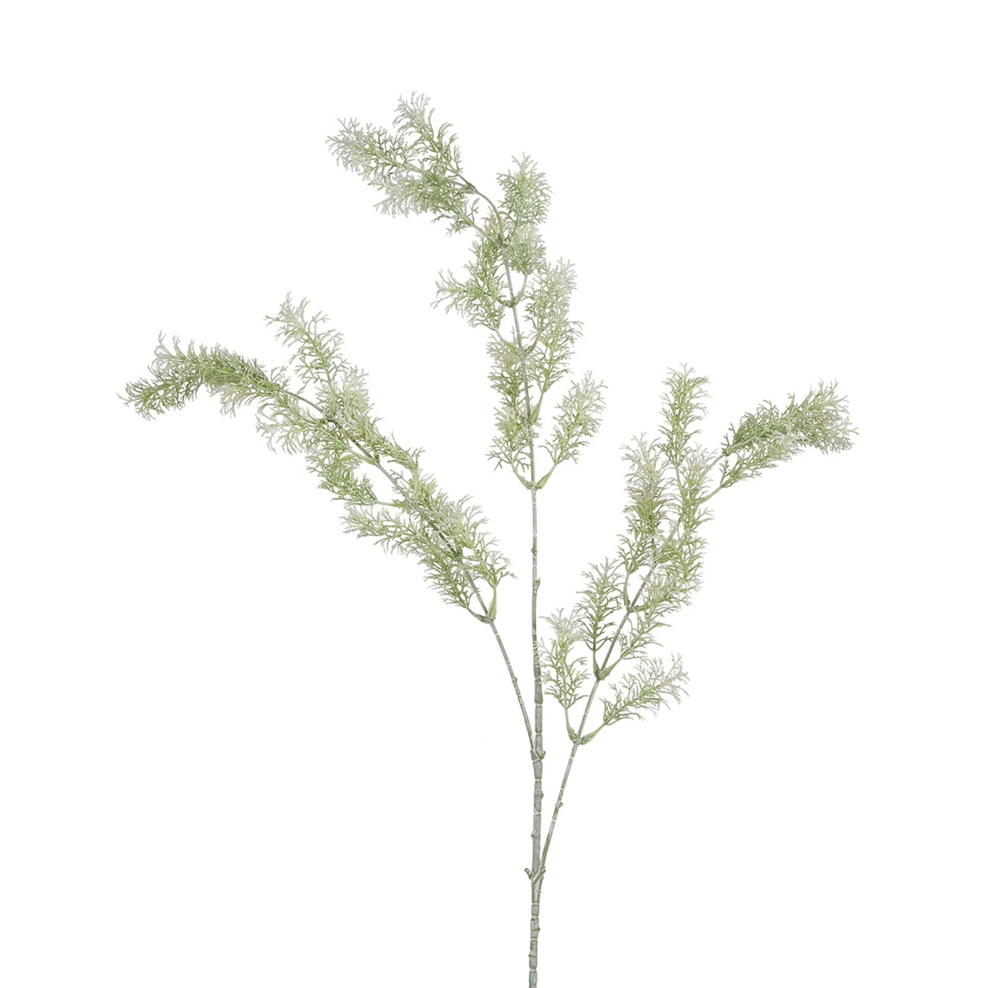 Tige de Ming Fern 93 cm