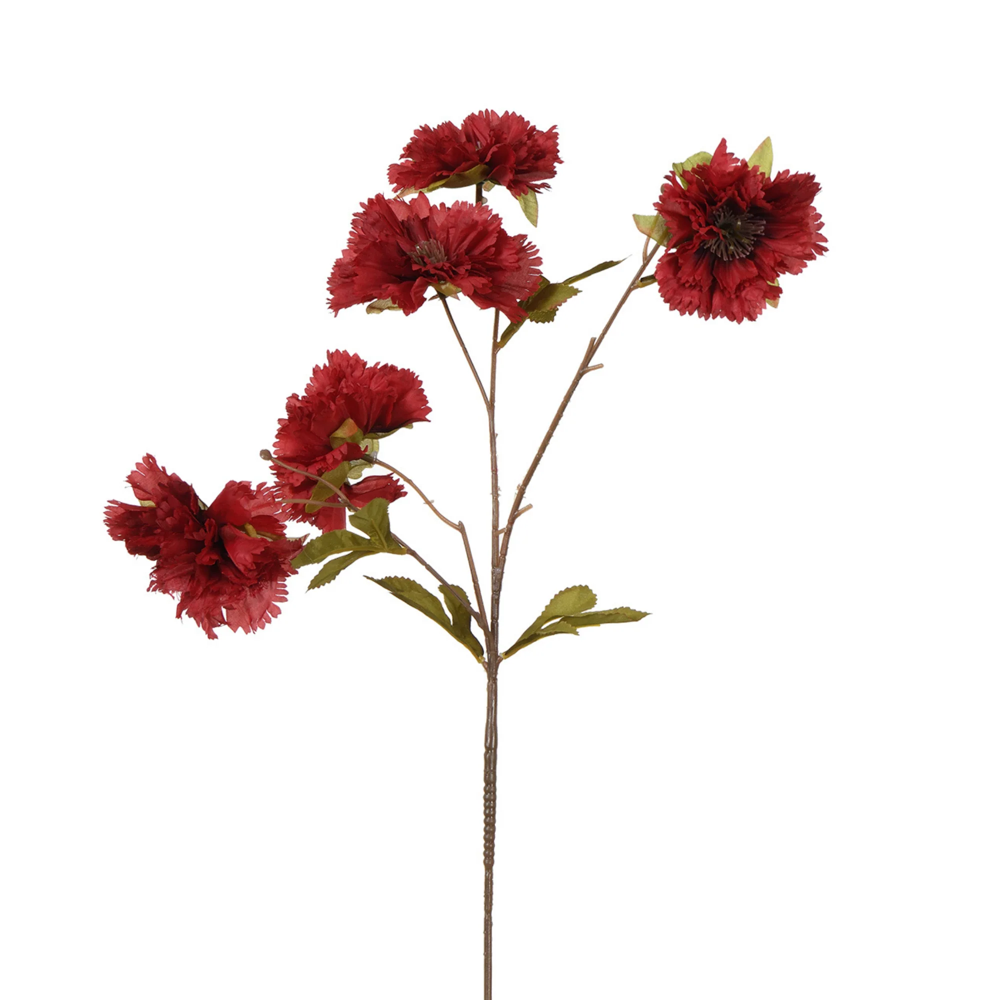 Tige d'Ĺ’illet 70 cm - Image 10