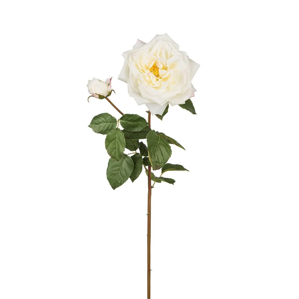 Tige de Rose David ouverte - Image 18
