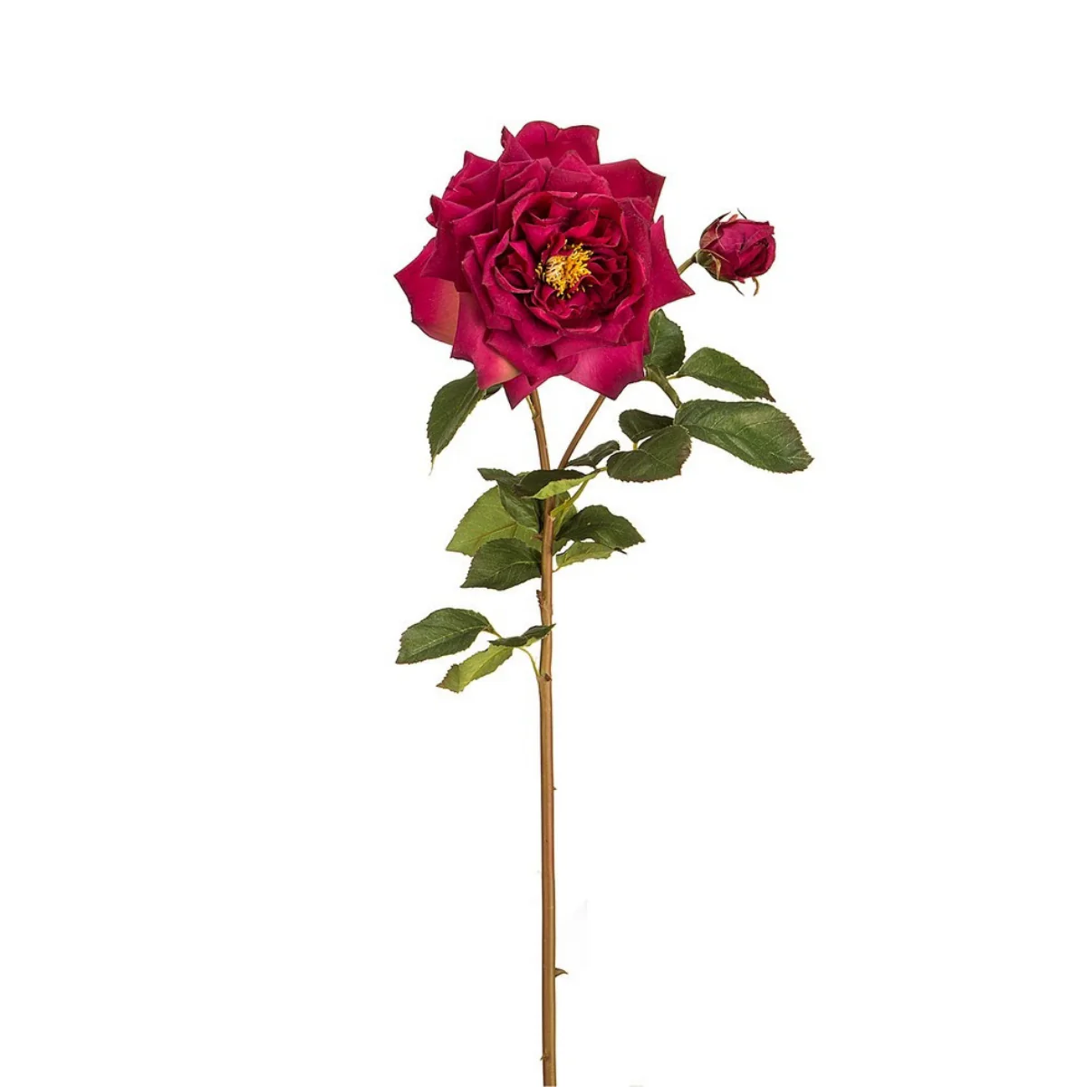 Tige de Rose David ouverte - Image 4