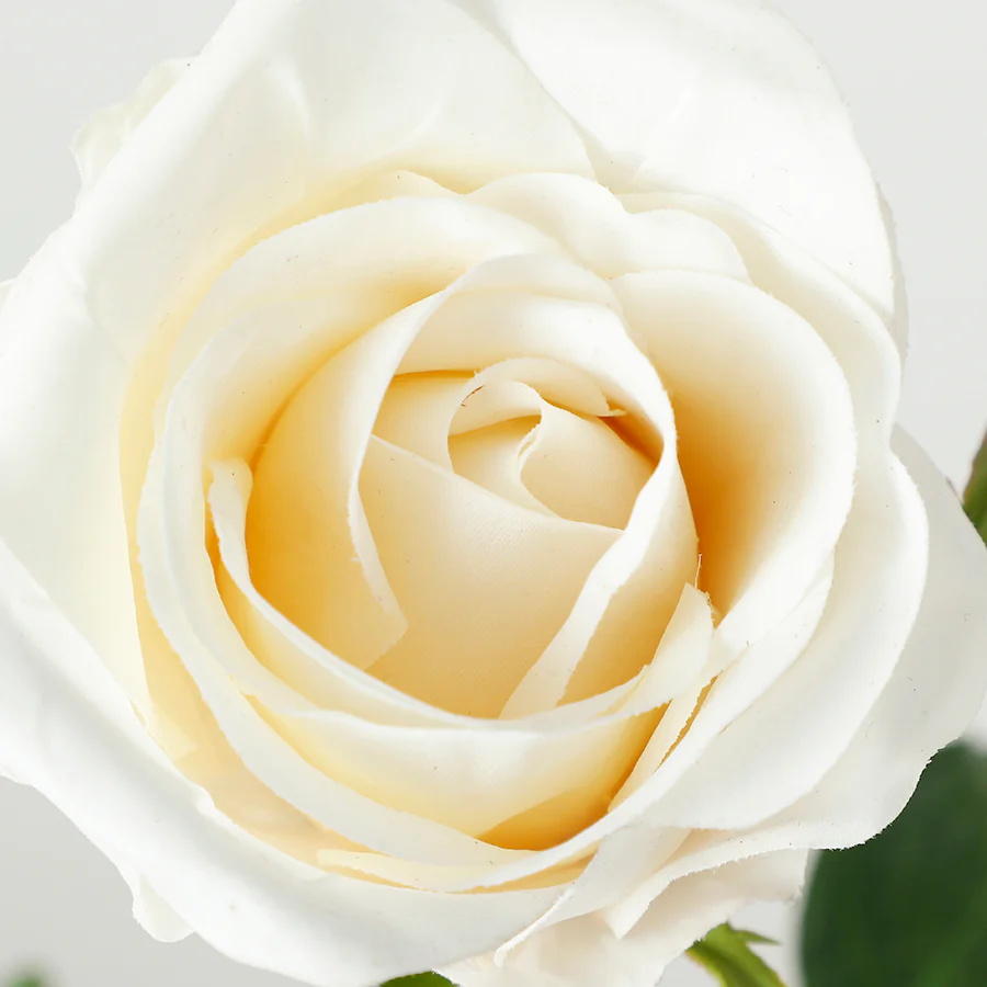 Tige de Rose fermée Premium 50cm - Image 11