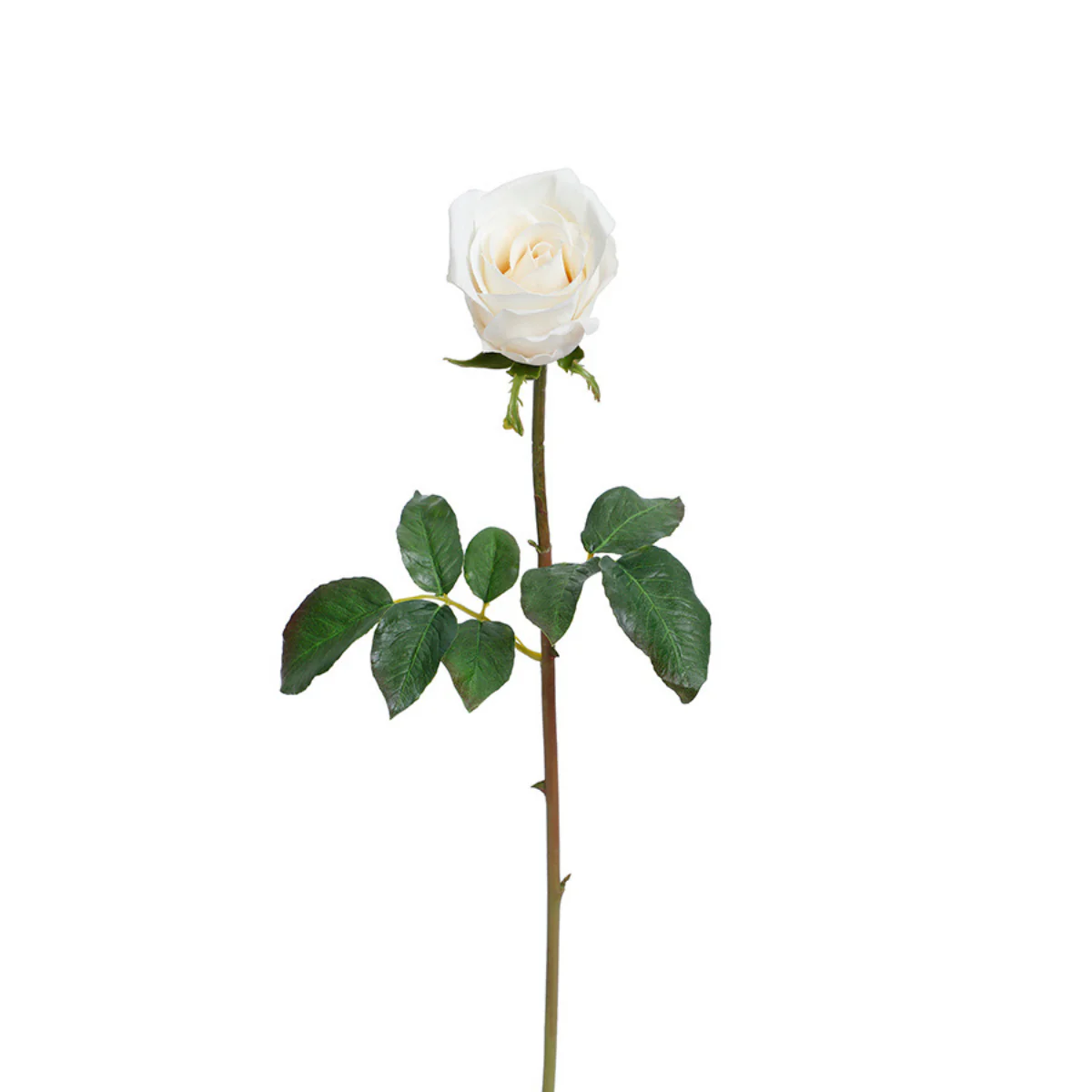 Tige de Rose fermée Premium 50cm - Image 13
